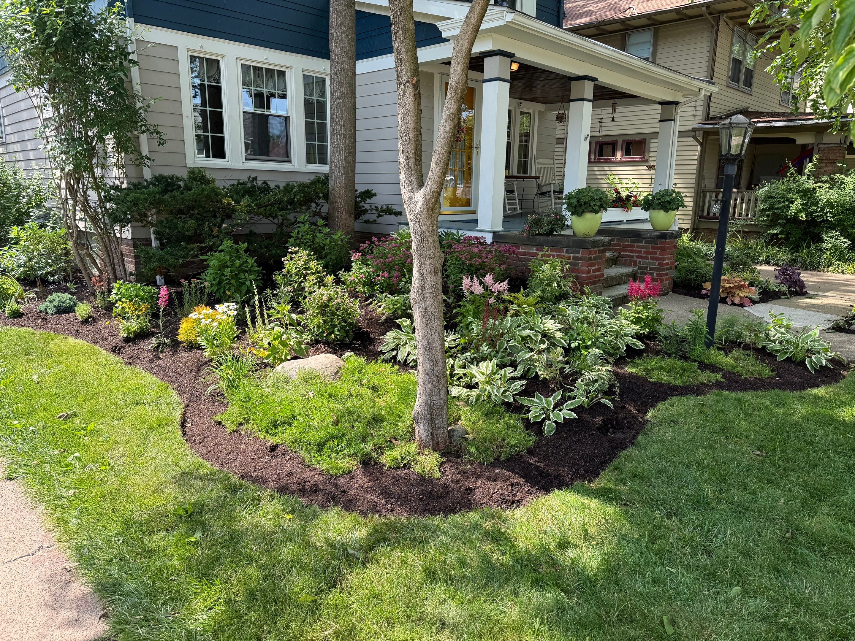 Woodland Flora Project by Elm Rose Gardens