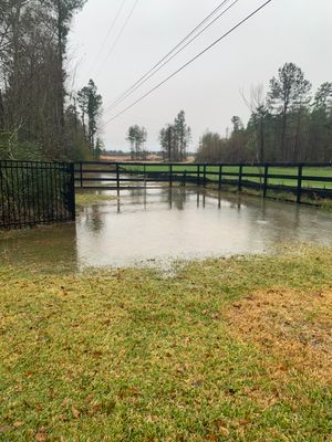Mr. Jeff — Backyard Drainage & Grading Improvement