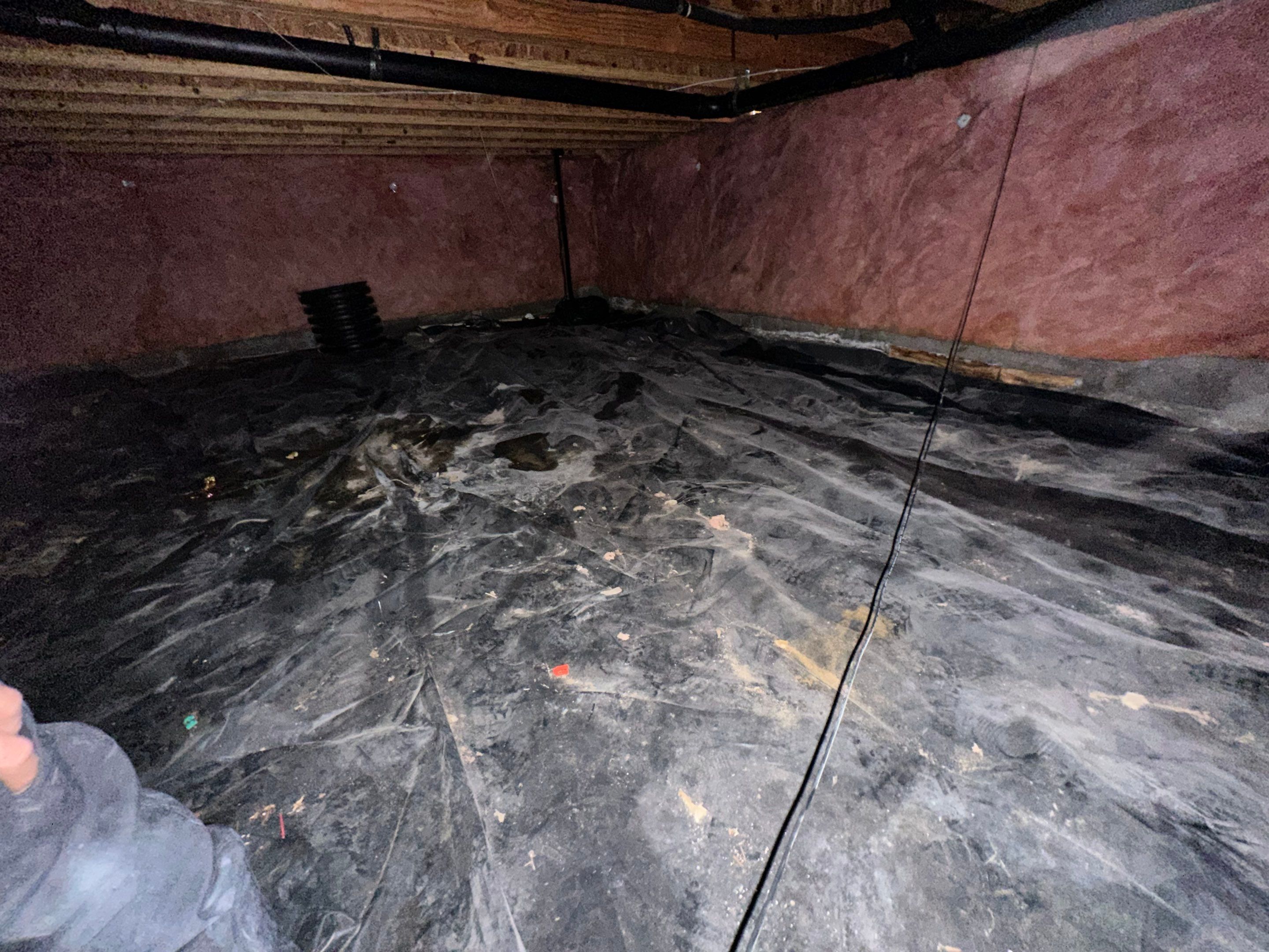 Mold Removal in Brighton, CO by Alpha Restoration 