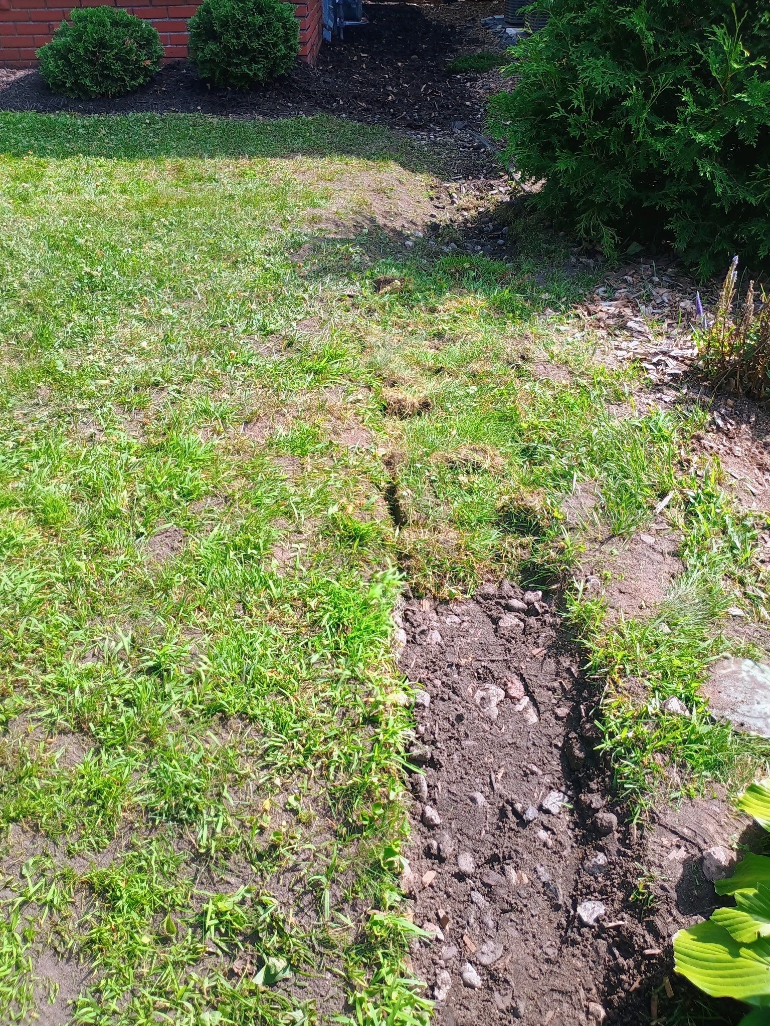 Peter's French Drain and Roof Runoff System Upgrade by Waterproofing Northeast