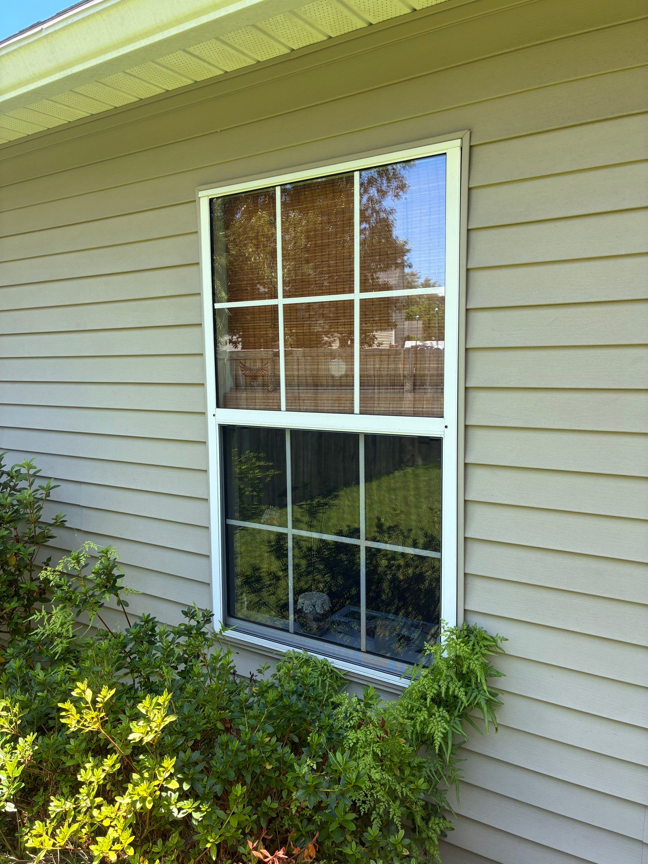 White Vinyl Window Replacement and Exterior Siding Refresh in Summerville by Top Tier Charleston