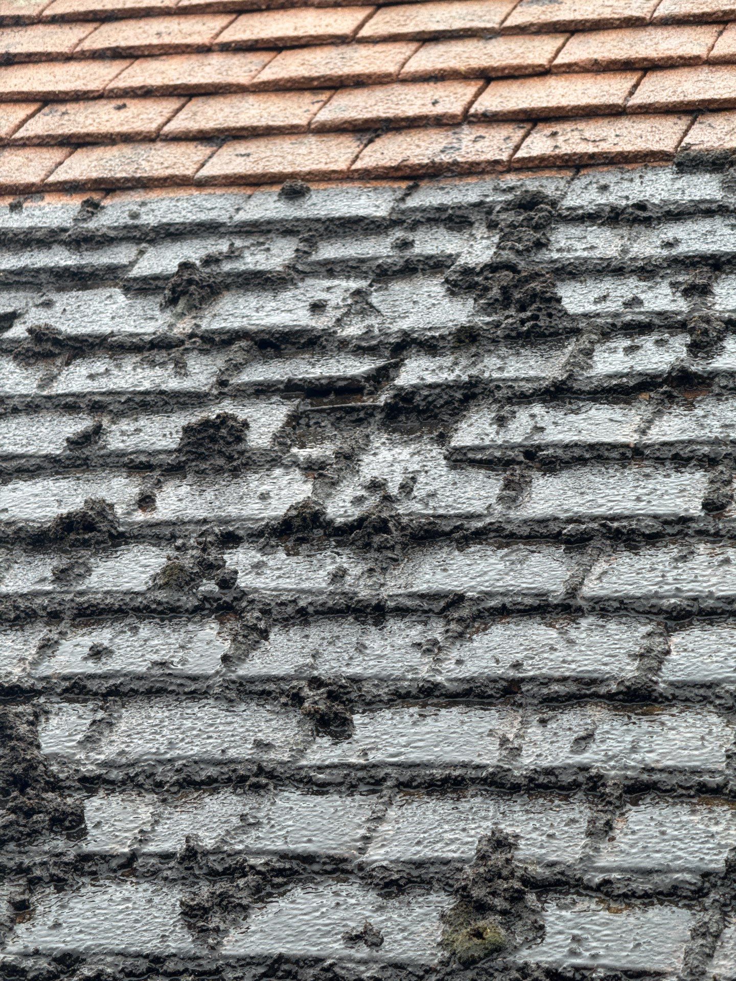 Commercial Roof Clean -Block Of Flats using Honda 15lpm Low Pressure Washing Machine by Ges Exterior Cleaning ltd
