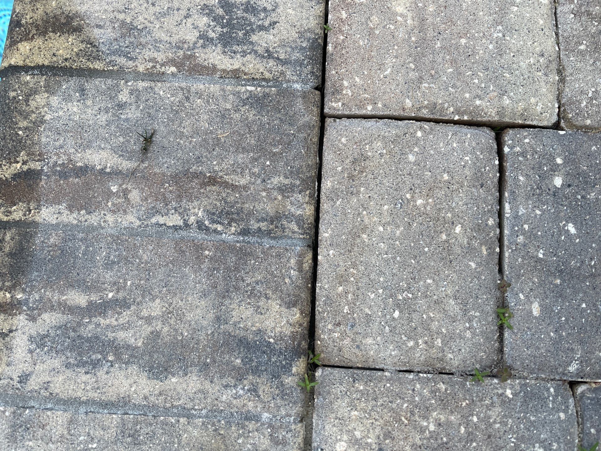 Pool Pavers using PolySand and Concrete Sealant  by DuraSeal