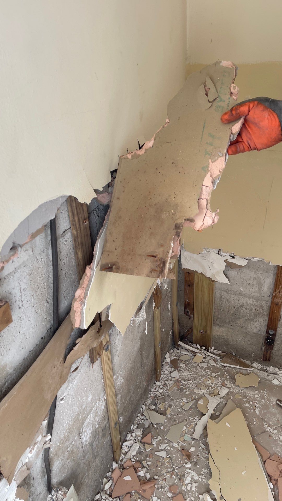 Mold Remediation  by THE RAPID TEAM