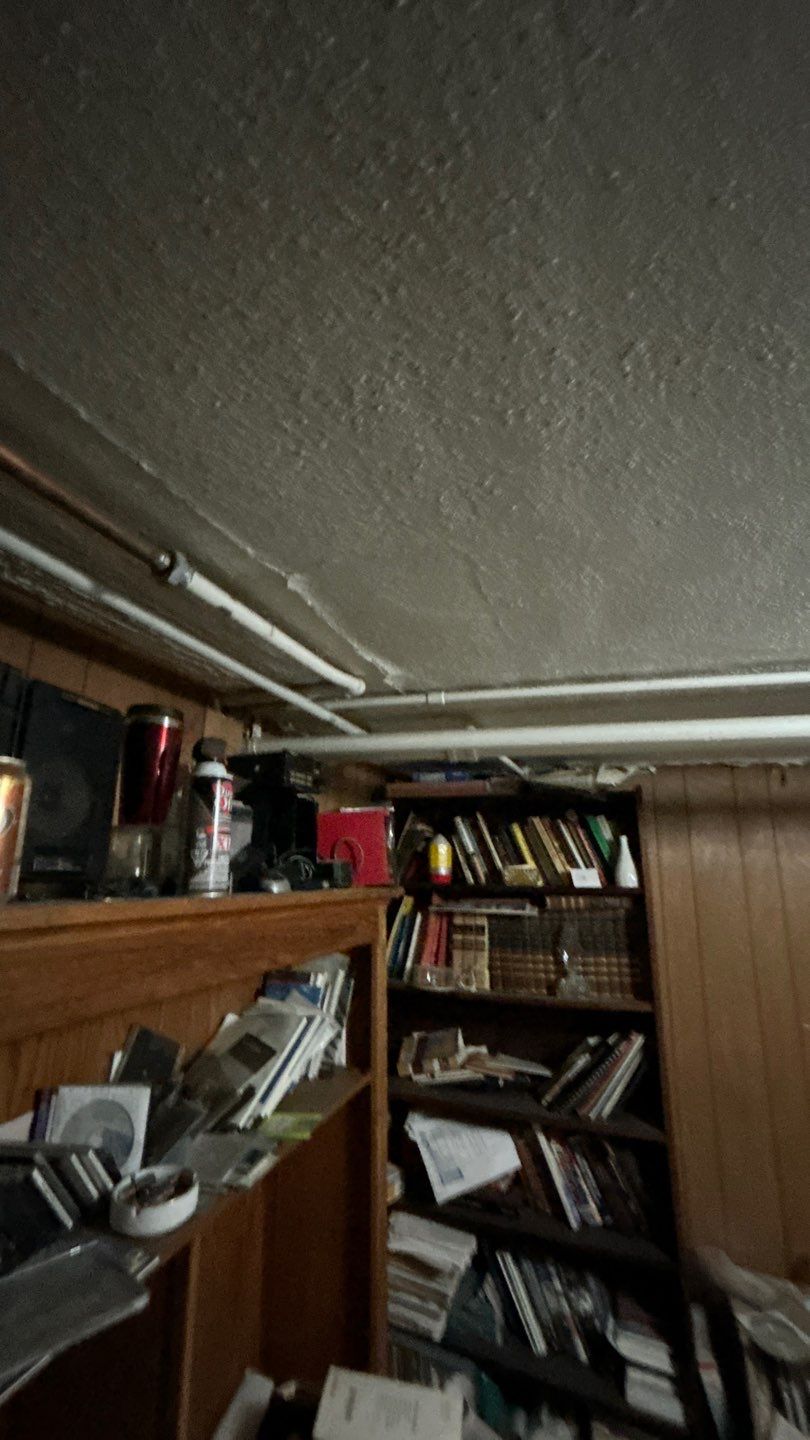 Mold Remediation by Accountable Home Services