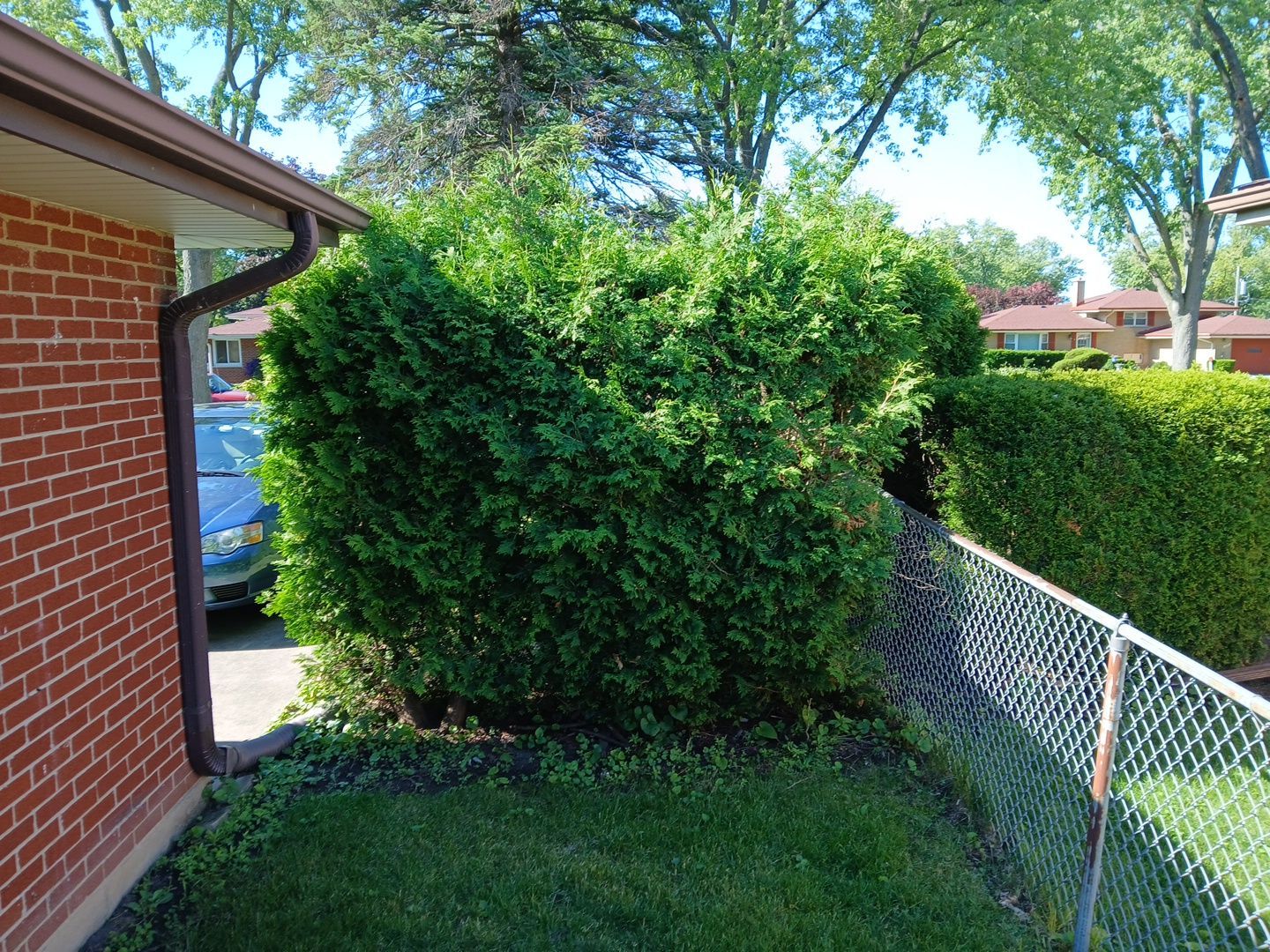 Martha C. - Mount Prospect, IL by A&N 