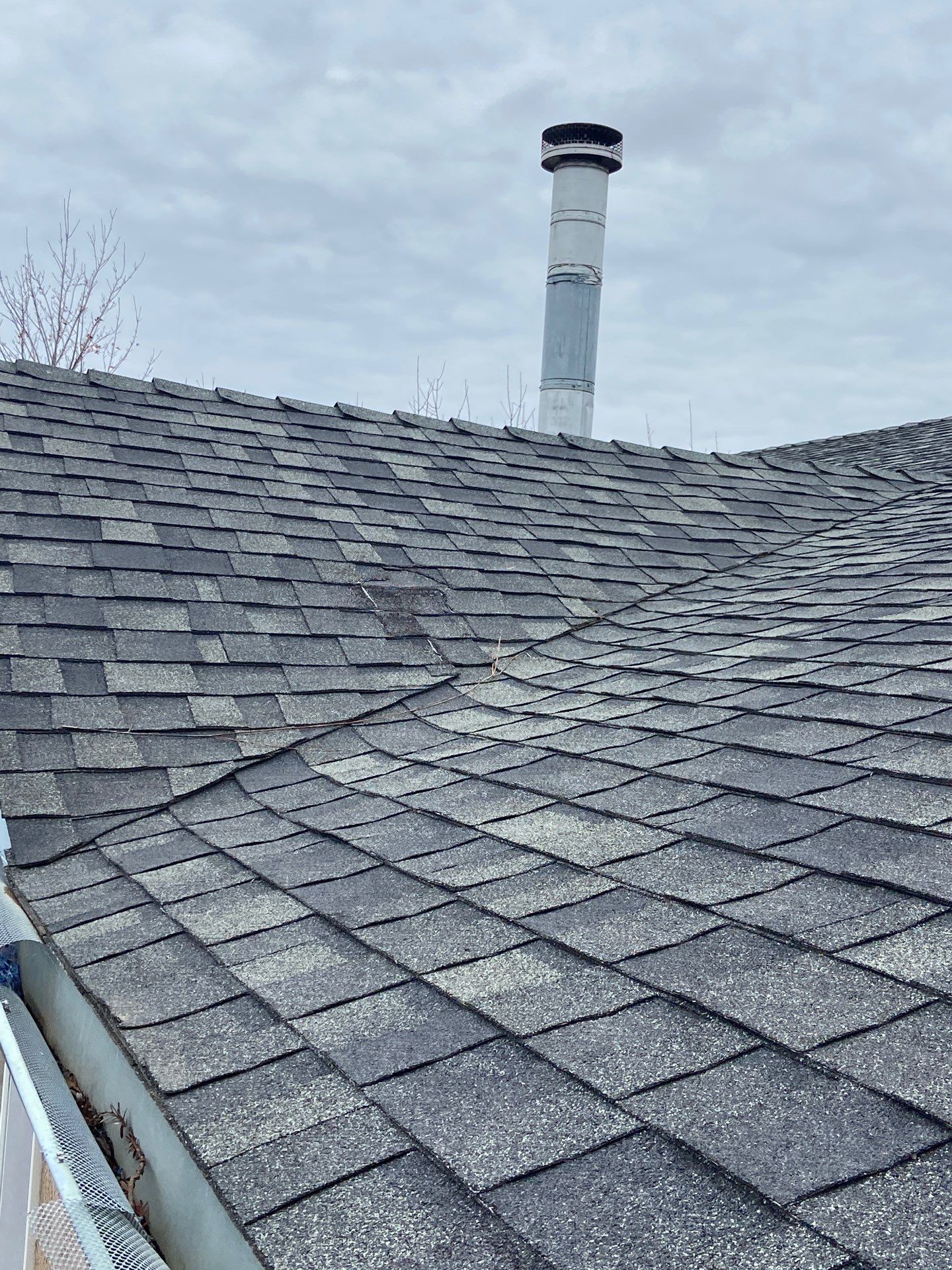 Roof Rejuvenation using Roof Maxx Treatment by Roof Maxx of Folsom