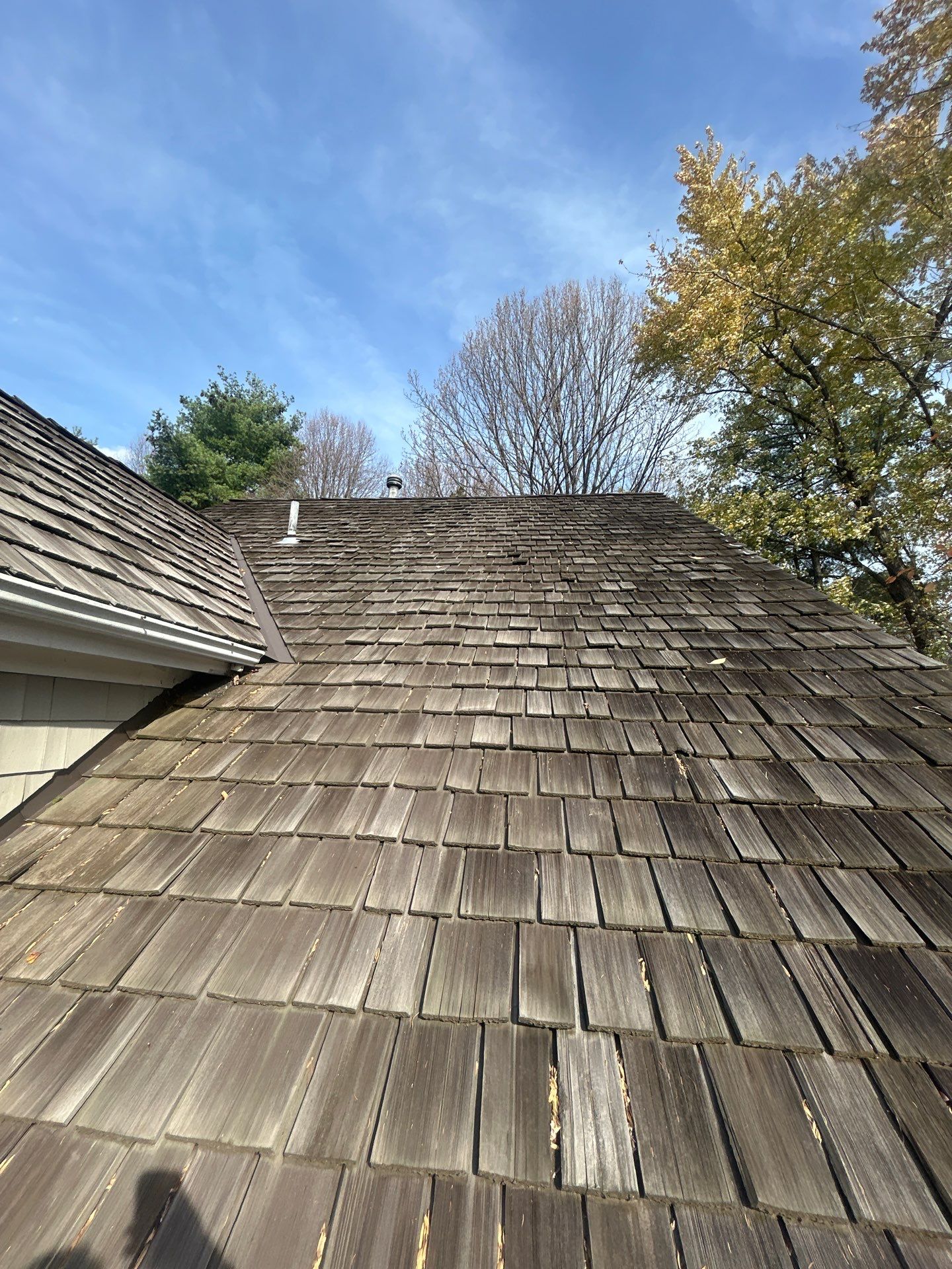 Reston :  Residential Roof Replacement with Brava Synthetic Cedar Shake Class C Natural  by RM Banning, Inc.