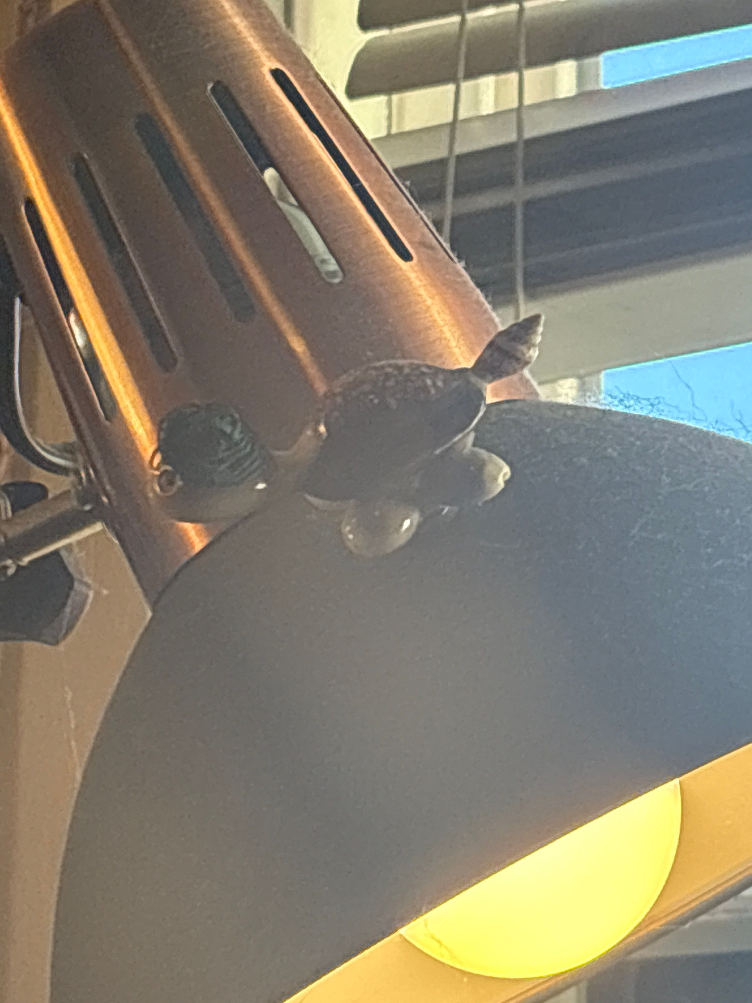 Drew's House by CompanyCam | Account Management Demo Account