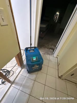 Mold Remediation — Naples, FL