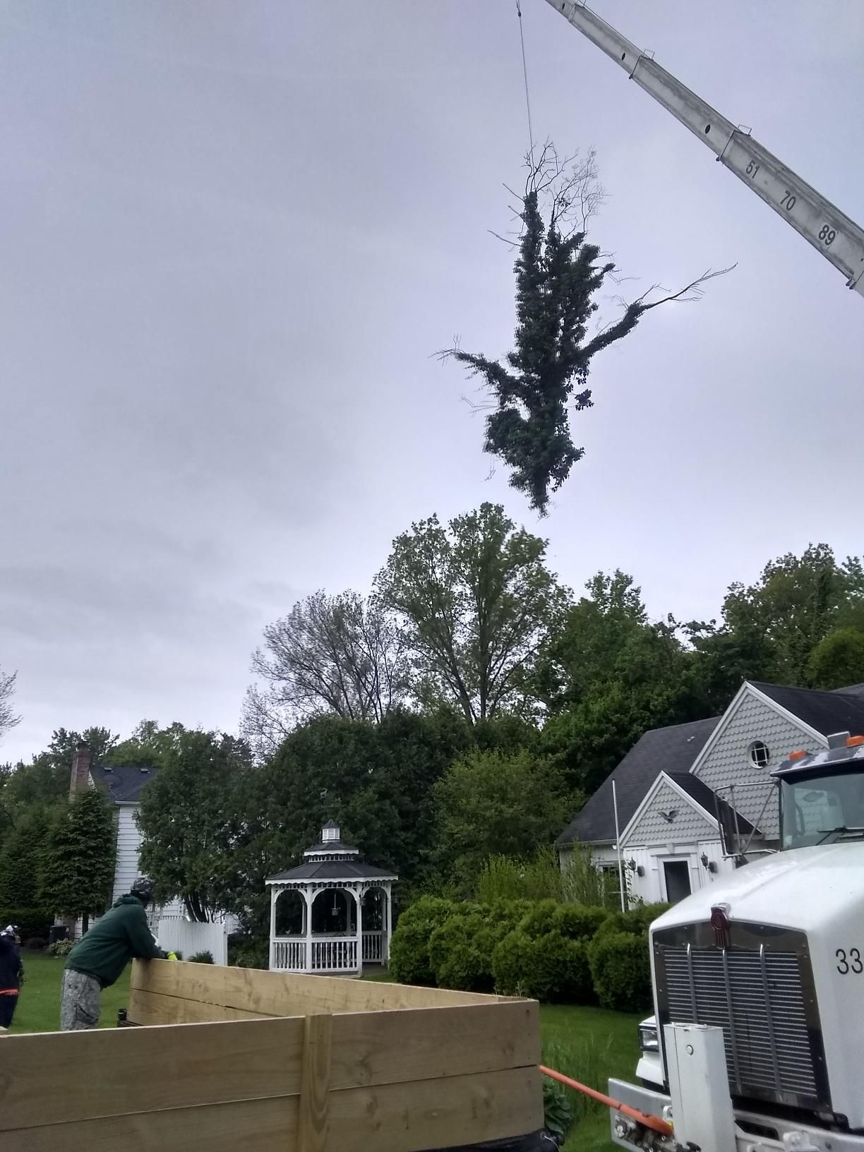 Tree Removal using Tree Removal by Mike Jones & Sons Tree Service LLC 