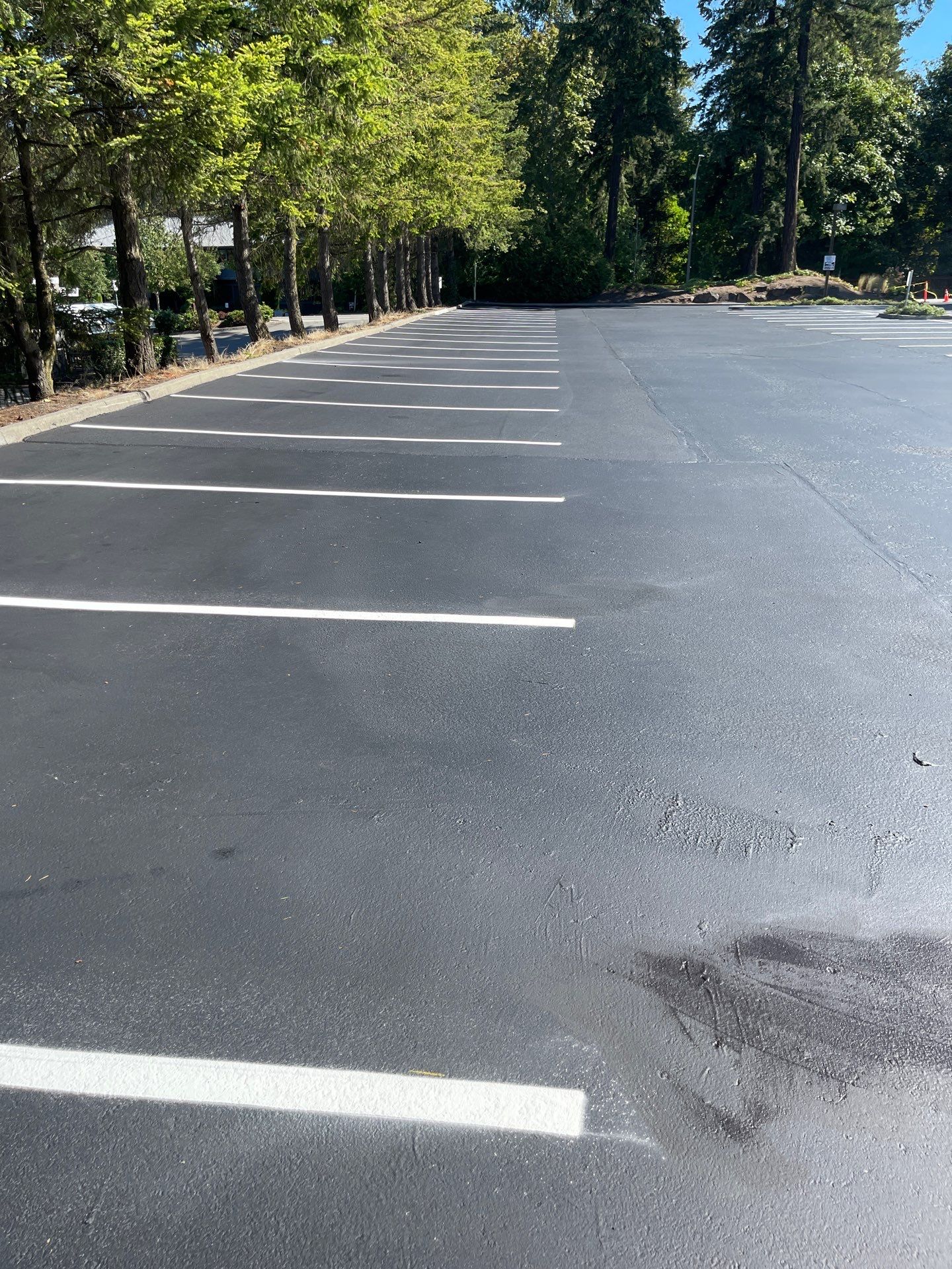 Buchan | Business Parking Lot Repair & Striping by Jireh Asphalt & Concrete Inc 