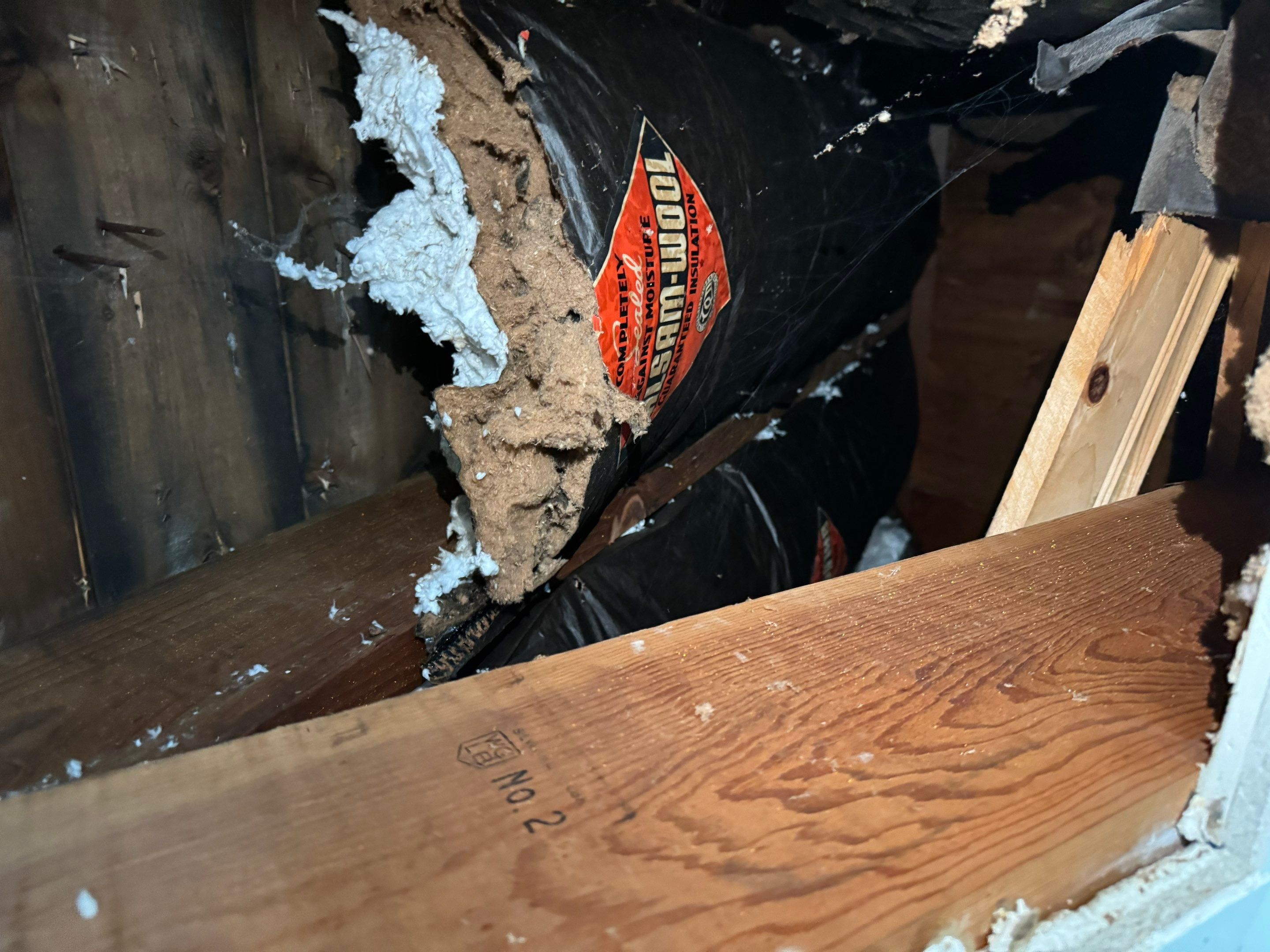 Bedroom Mold Remediation by Home Guarantee, LLC