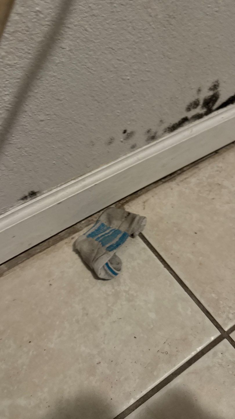 Mold Damage Project in Denver by Accountable Home Services