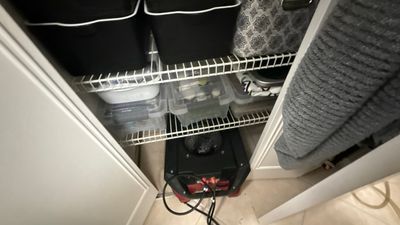 Wet Carpet Drying — Naples, FL