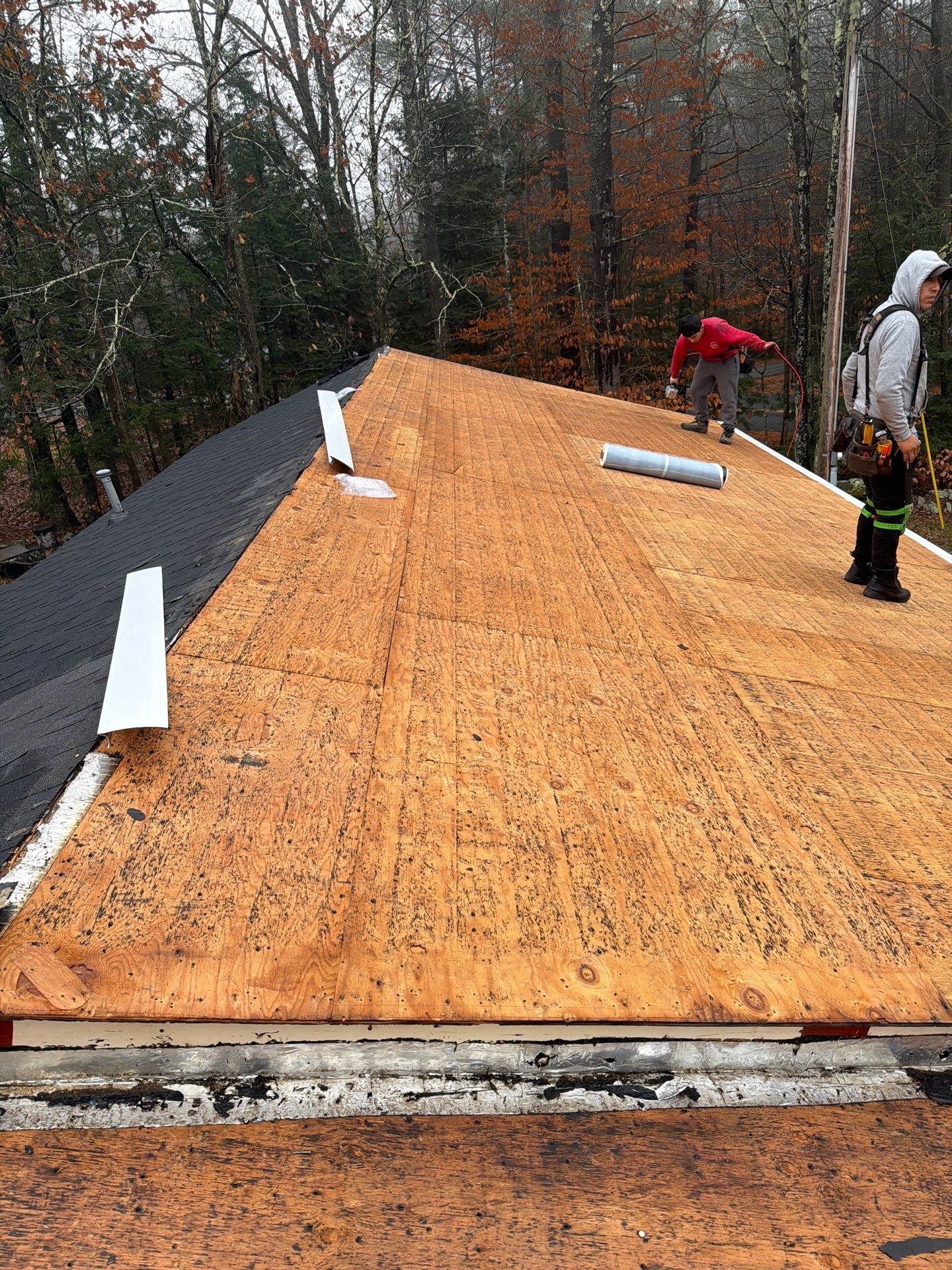 Lisbon Maine OC Roof install by Tall pine roofing