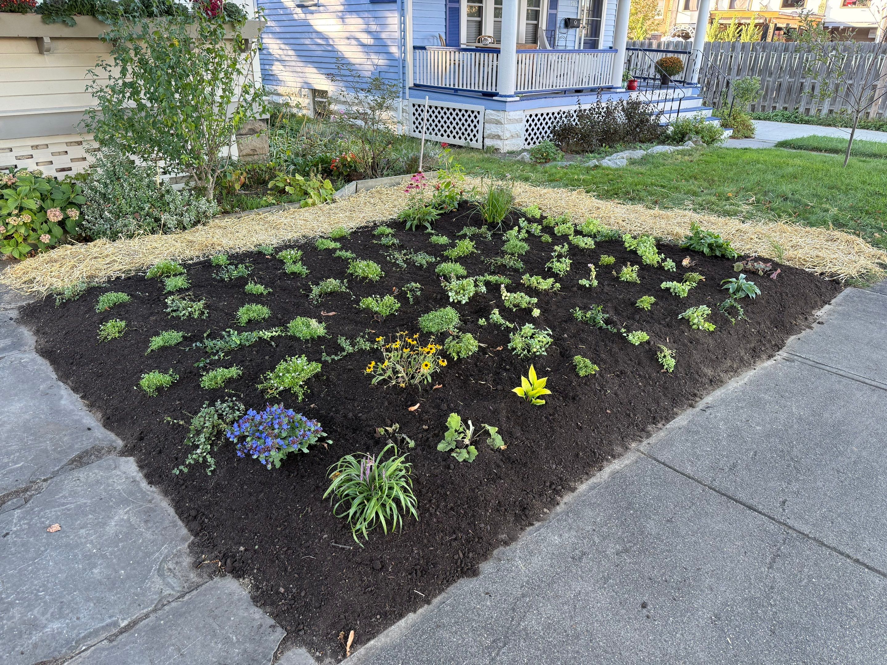Purple Fence Project by Elm Rose Gardens