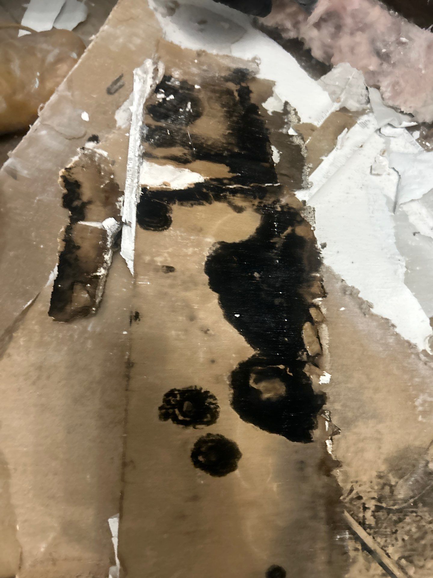 Water Damage Restoration by Ampm Restoration Services