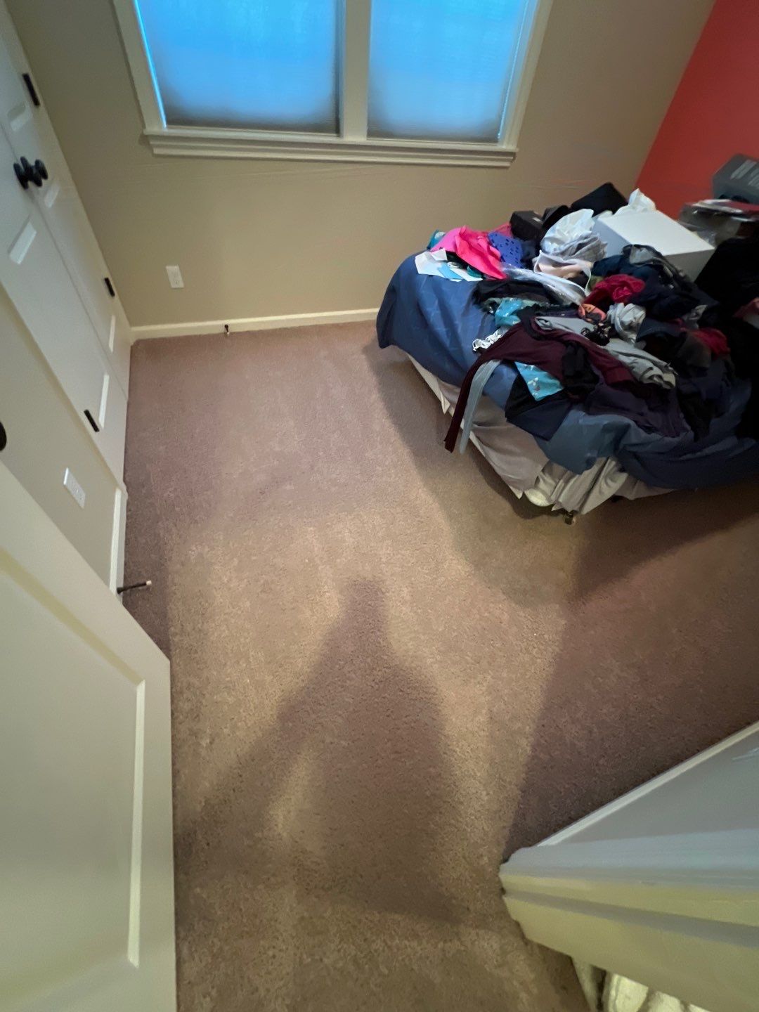 Carpet Cleaning in Oregon City by Cloud 9 Professional Cleaning Services