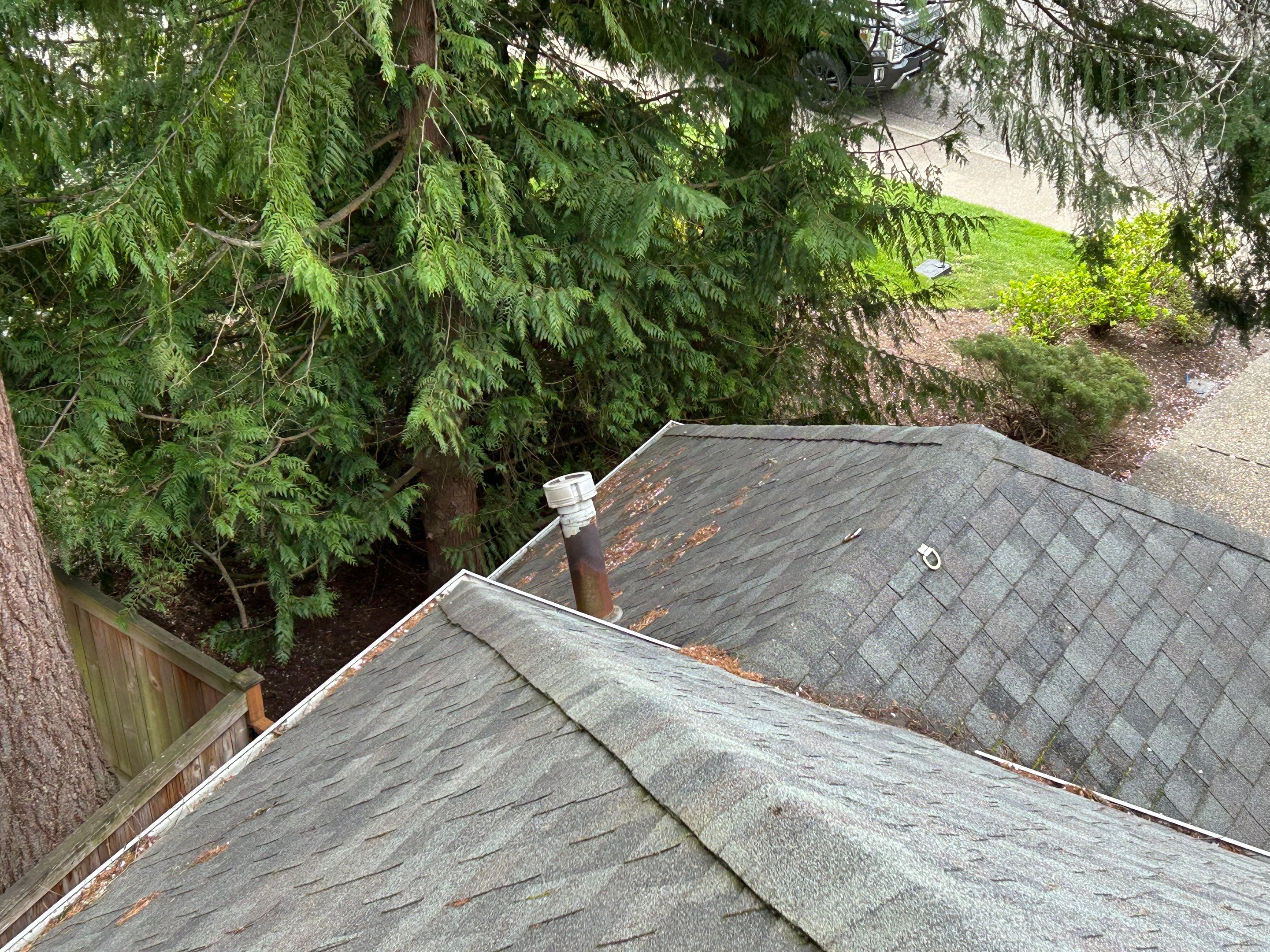 Project in Redmond by Peaks and Valleys Construction