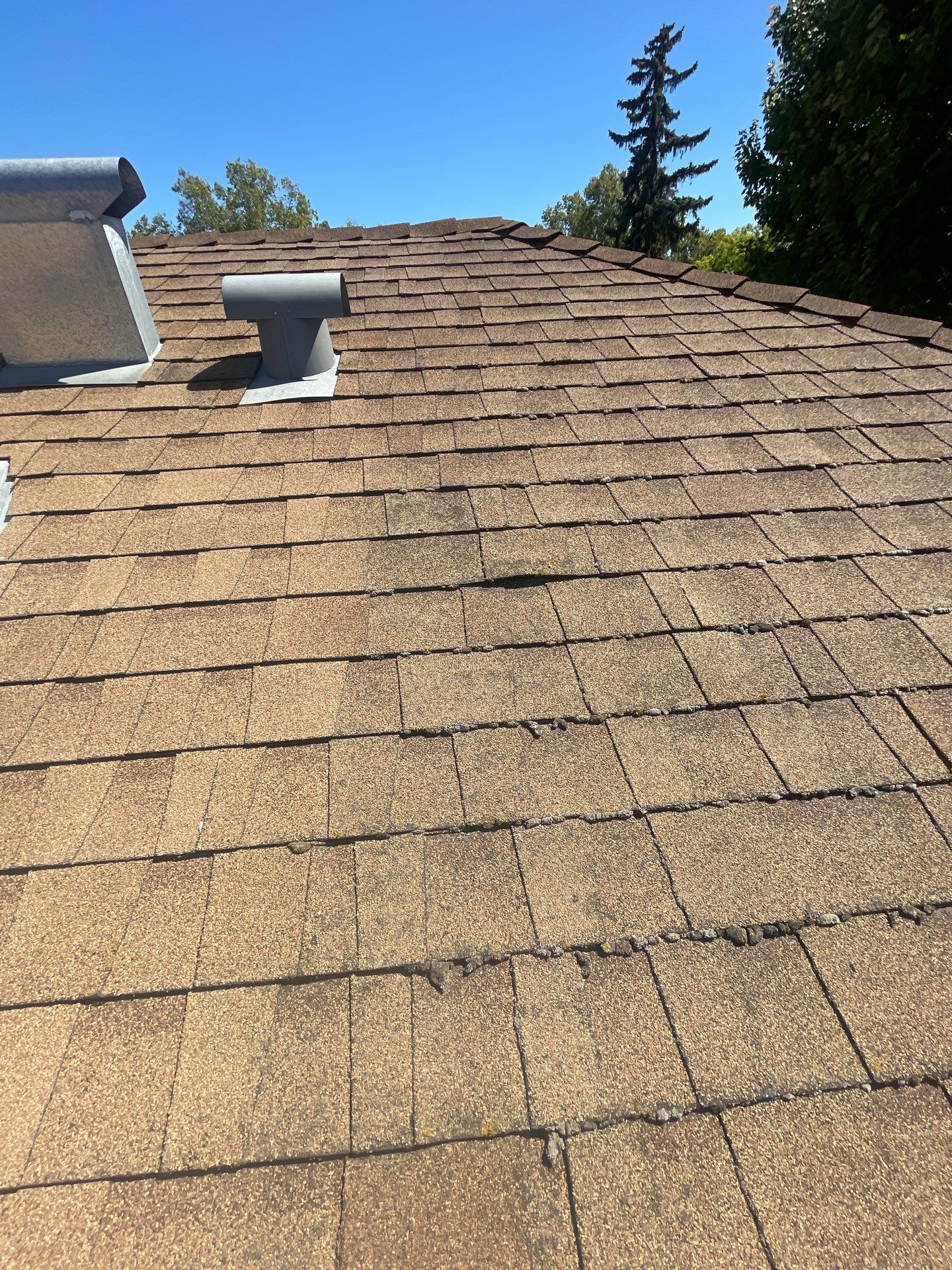 Roof Rejuvenation using Roof Maxx Treatment by Roof Maxx of Folsom