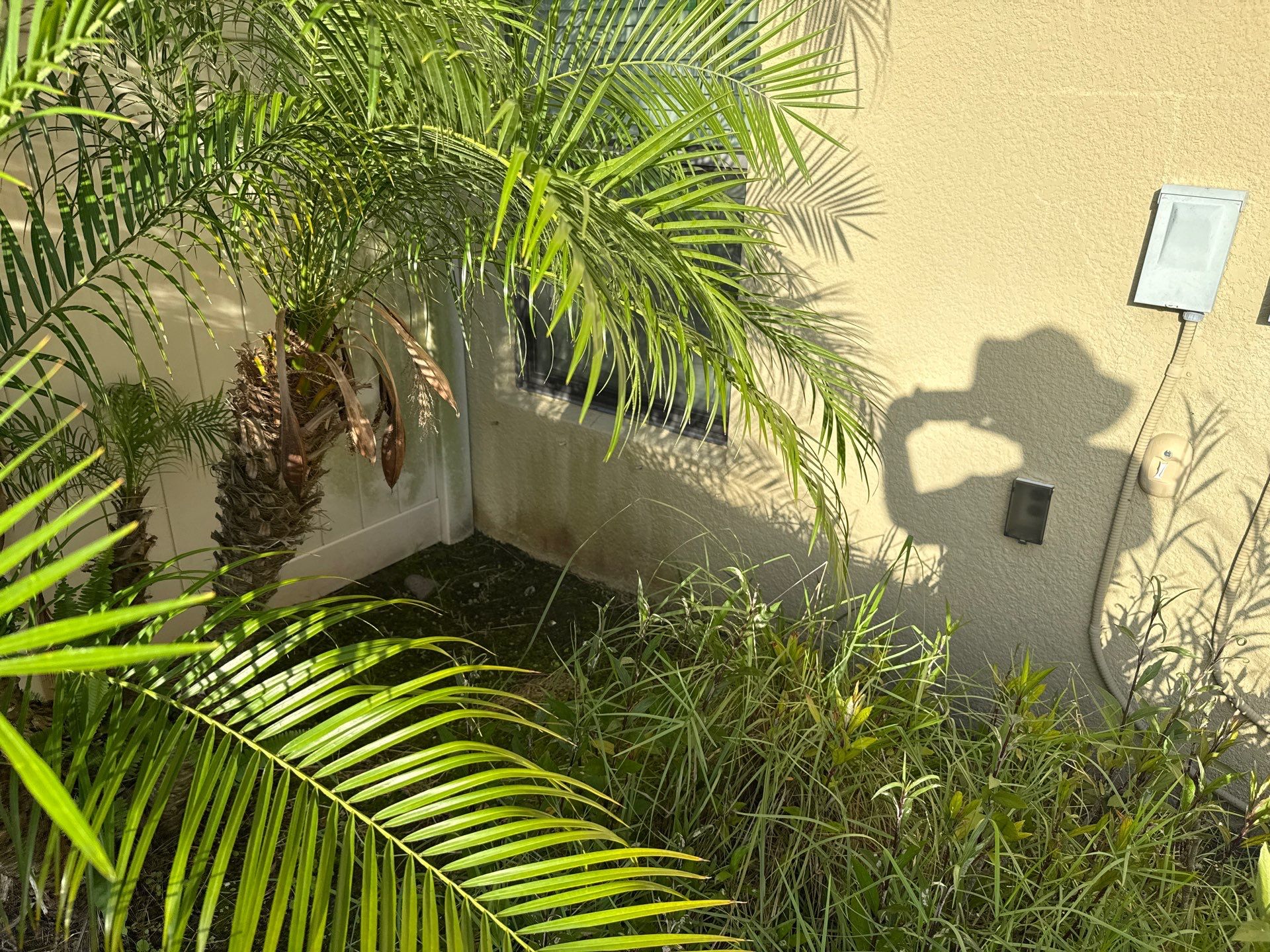 2-Story Stucco House Wash & Tan Vinyl Fence Cleaning | Sheffield Glen Palmetto, FL by Sunshine AquaWash