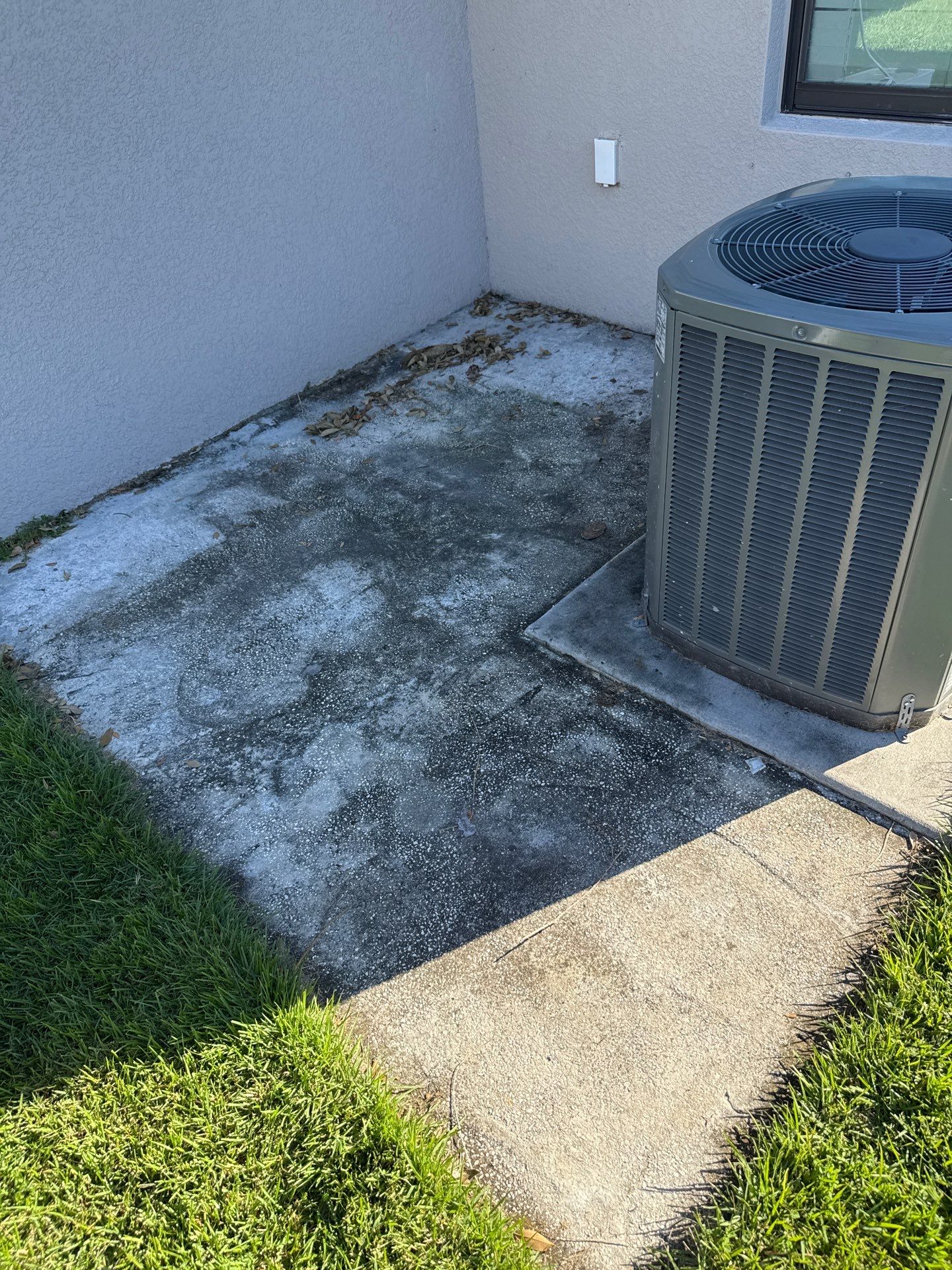 Comprehensive Concrete and Vinyl Fence Cleaning in Willow Walk Community, Palmetto, FL by Sunshine AquaWash