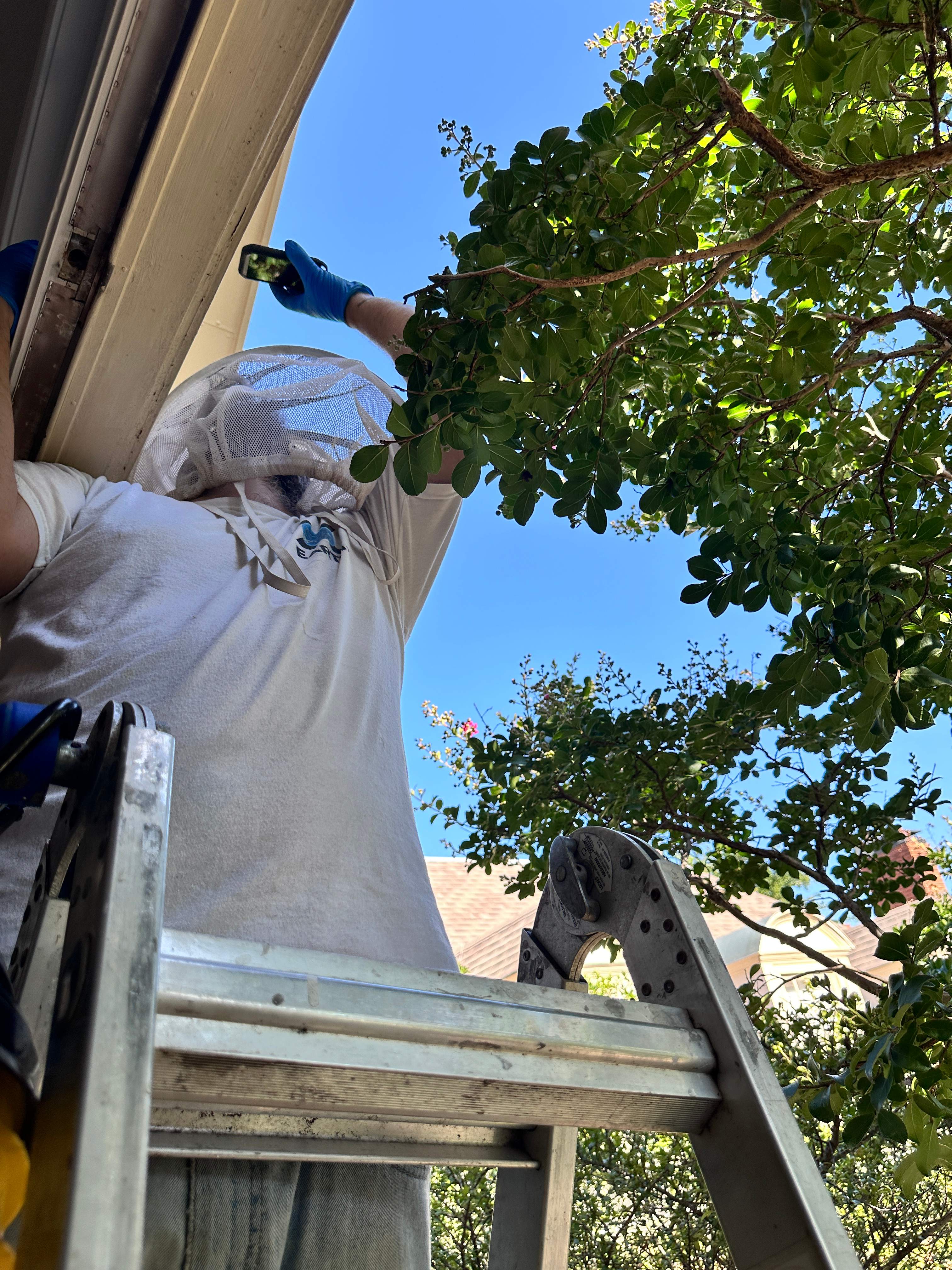 Suicide Swarm by Rockwall Honey Bee Company