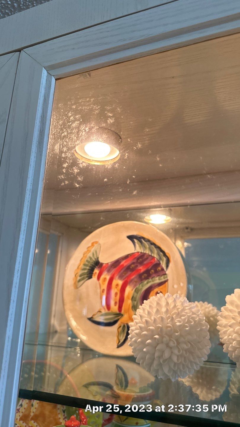 Humidity Bloom that caused mold to Grow by Building performance Solutions LLC