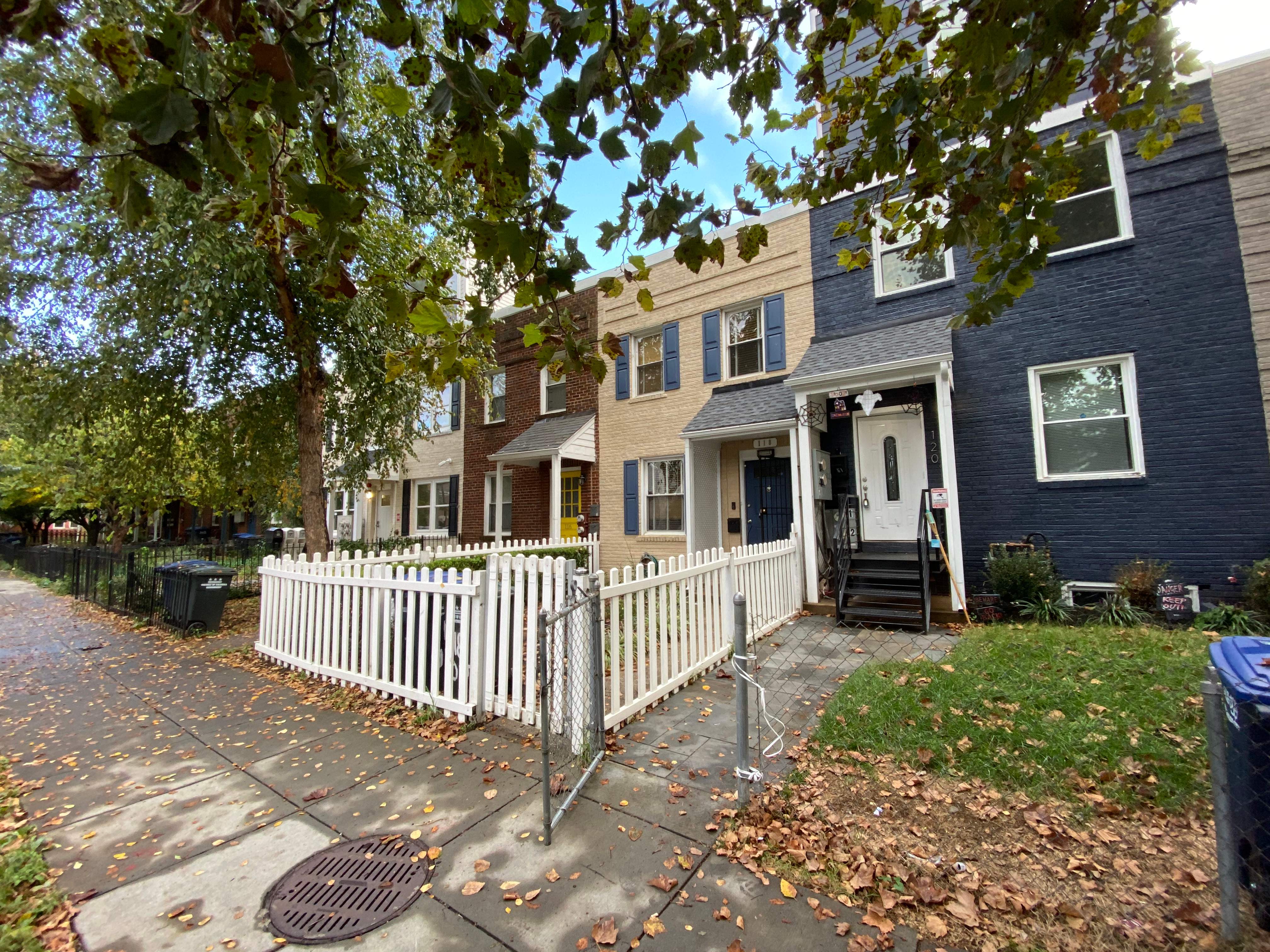 Custom Iron Fencing & Pet-Safe Gate Installation in Washington, DC. by Capitol Iron Works
