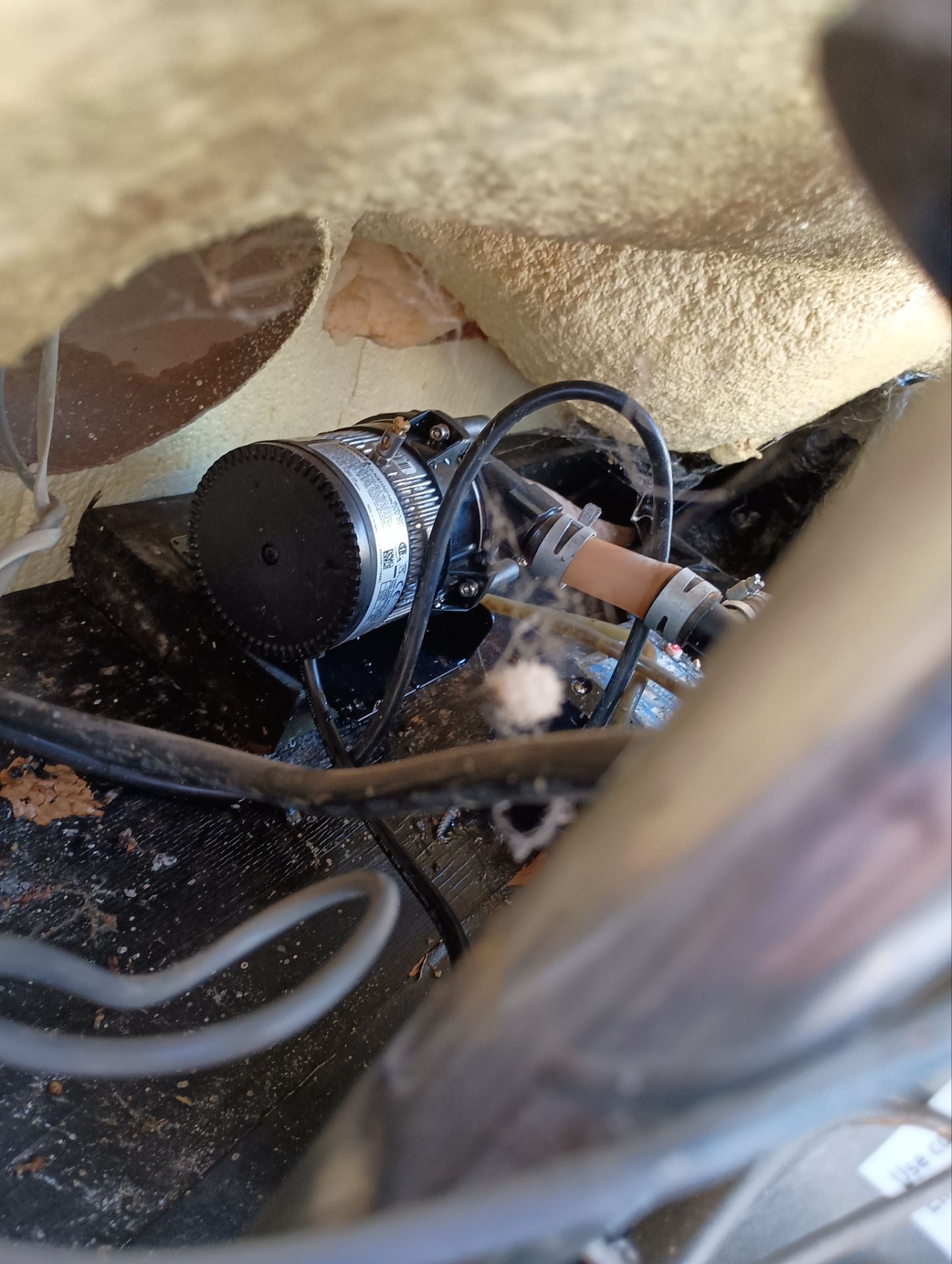 Project in El Cajon by Action Spa Repair LLC