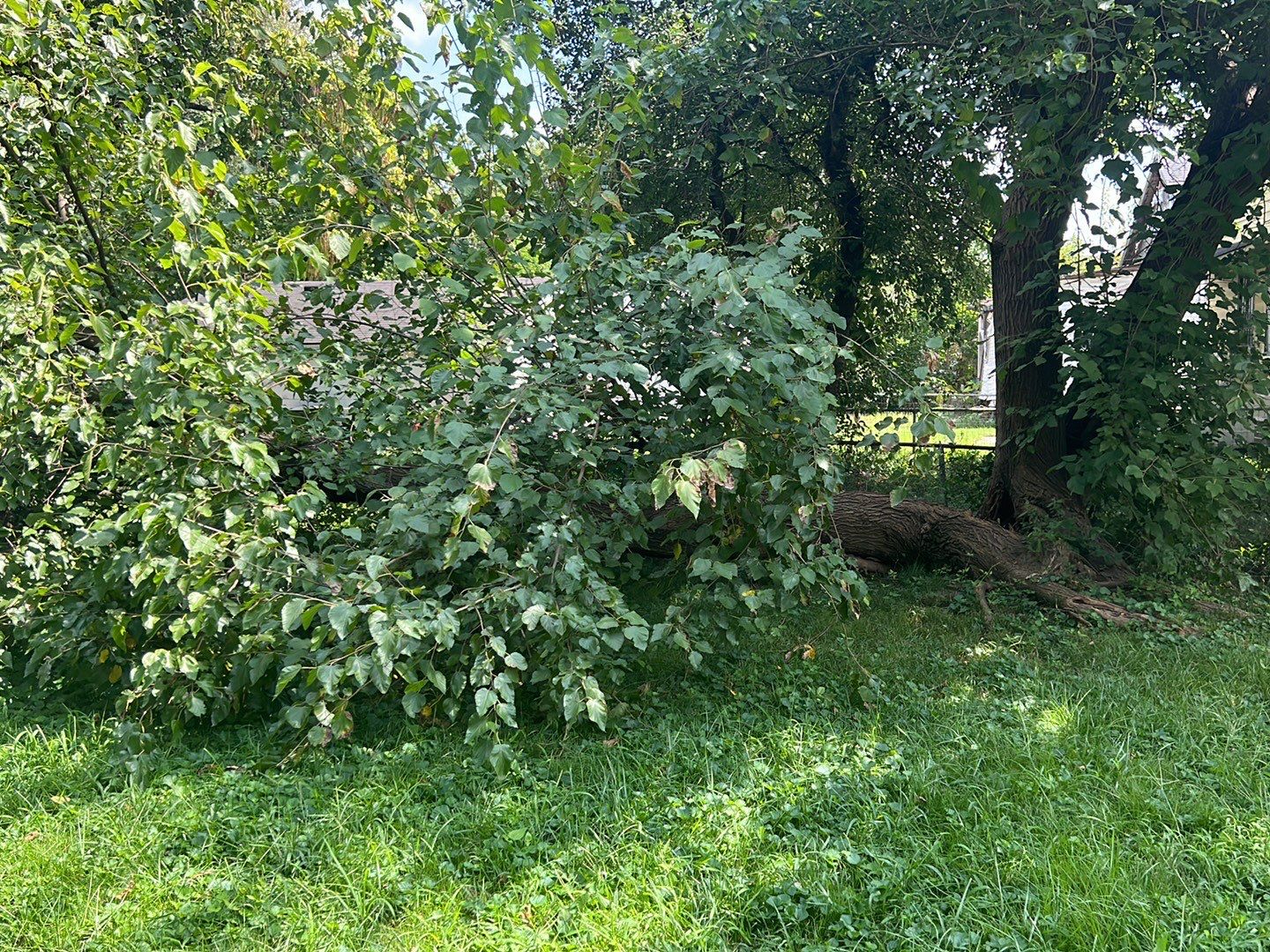 Rental Property Restoration, siding, flooring, gutters, landscaping by Storm Contracting 