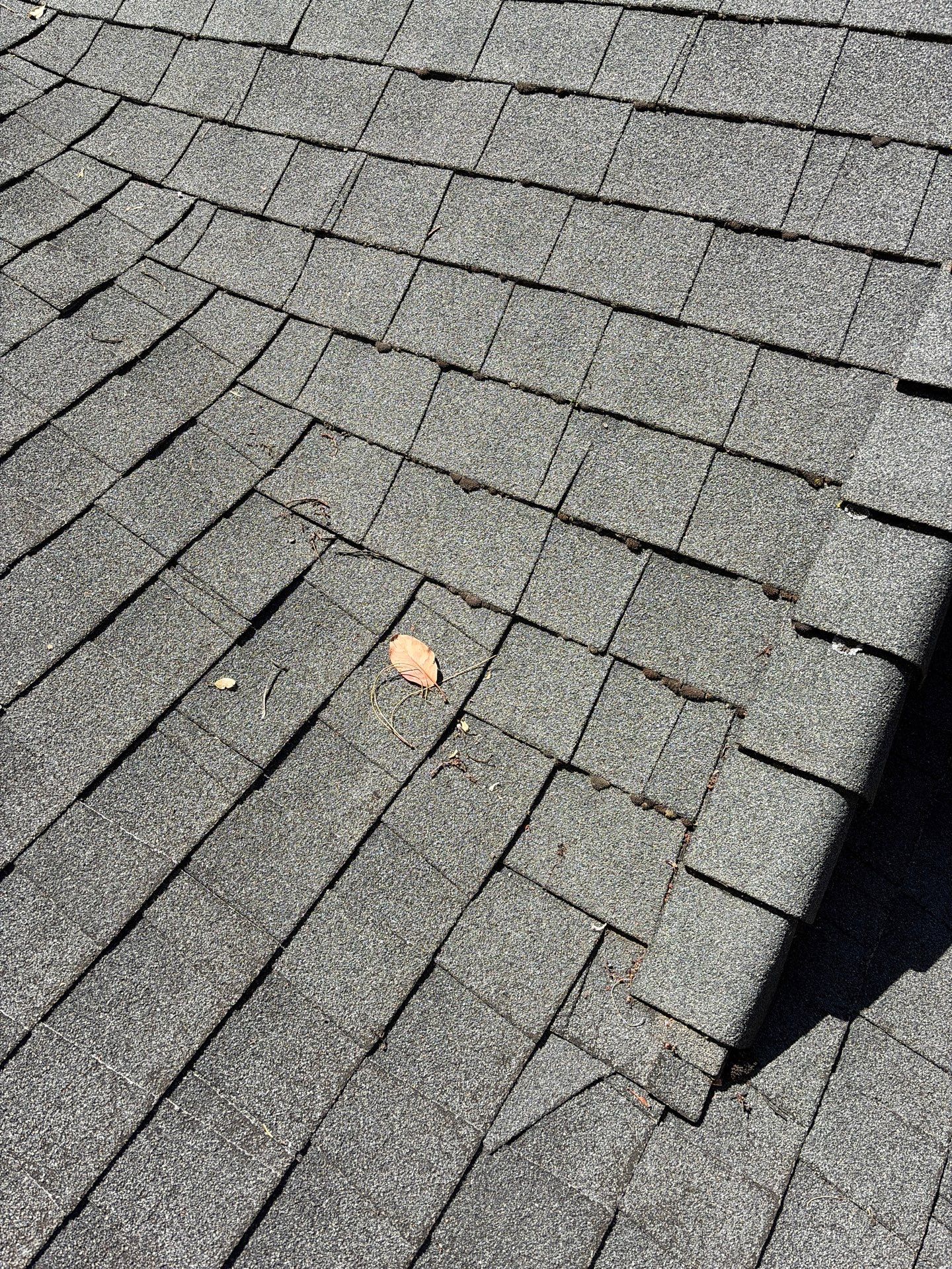 Roof Rejuvenation using Roof Maxx Treatment by Roof Maxx of Folsom