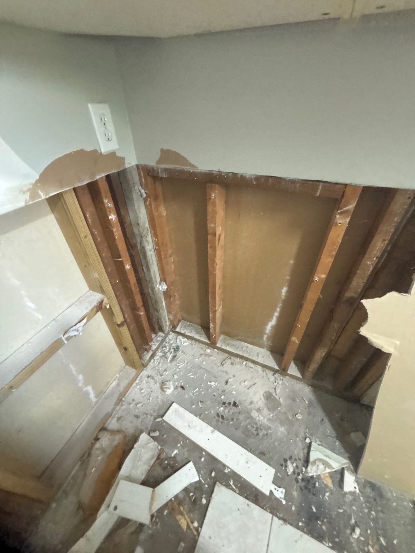 Mold Inspection & Removal by Ampm Restoration Services