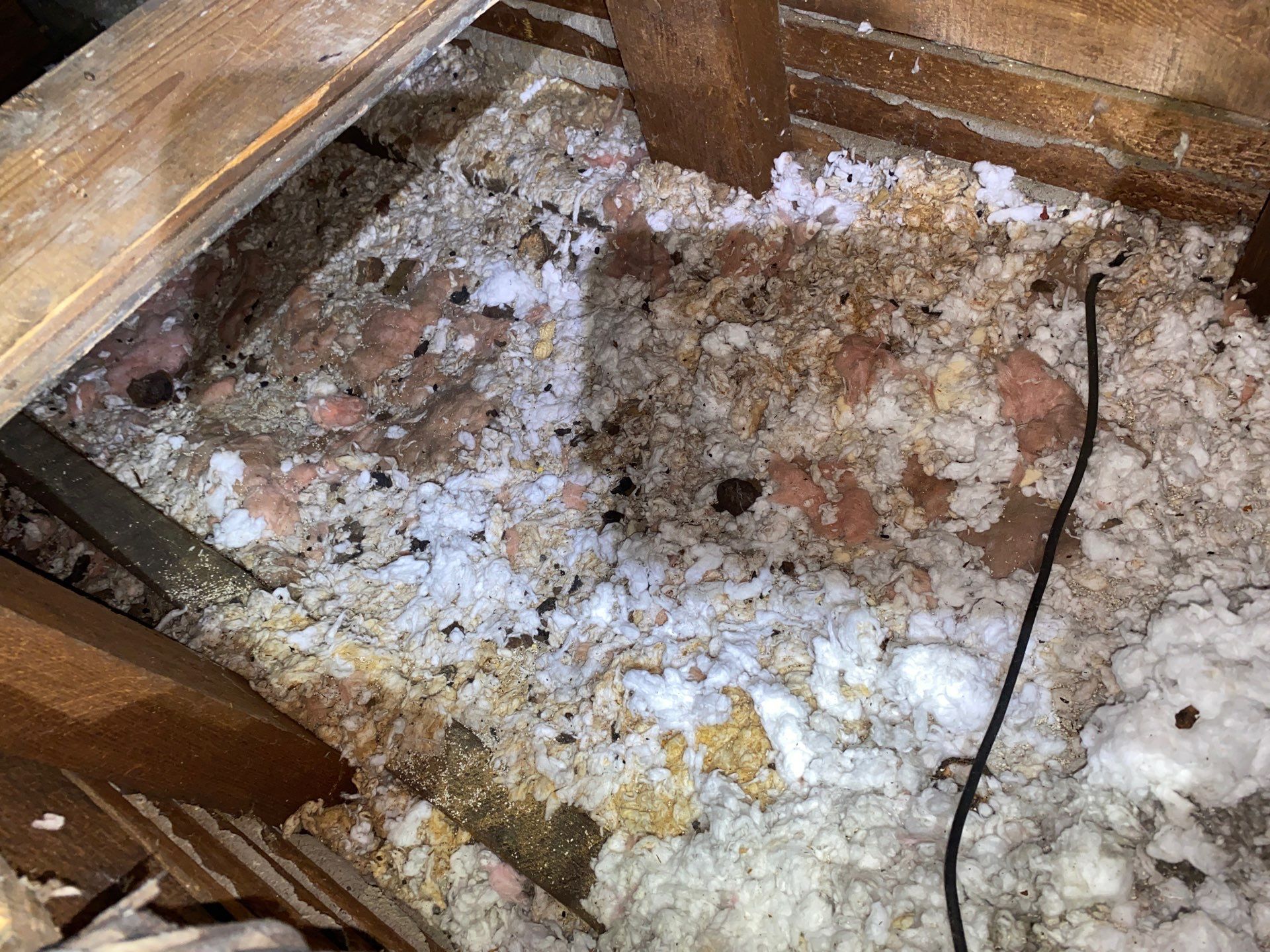 Rodent Clean up in Pittsburgh PA by Home Environment Solutions