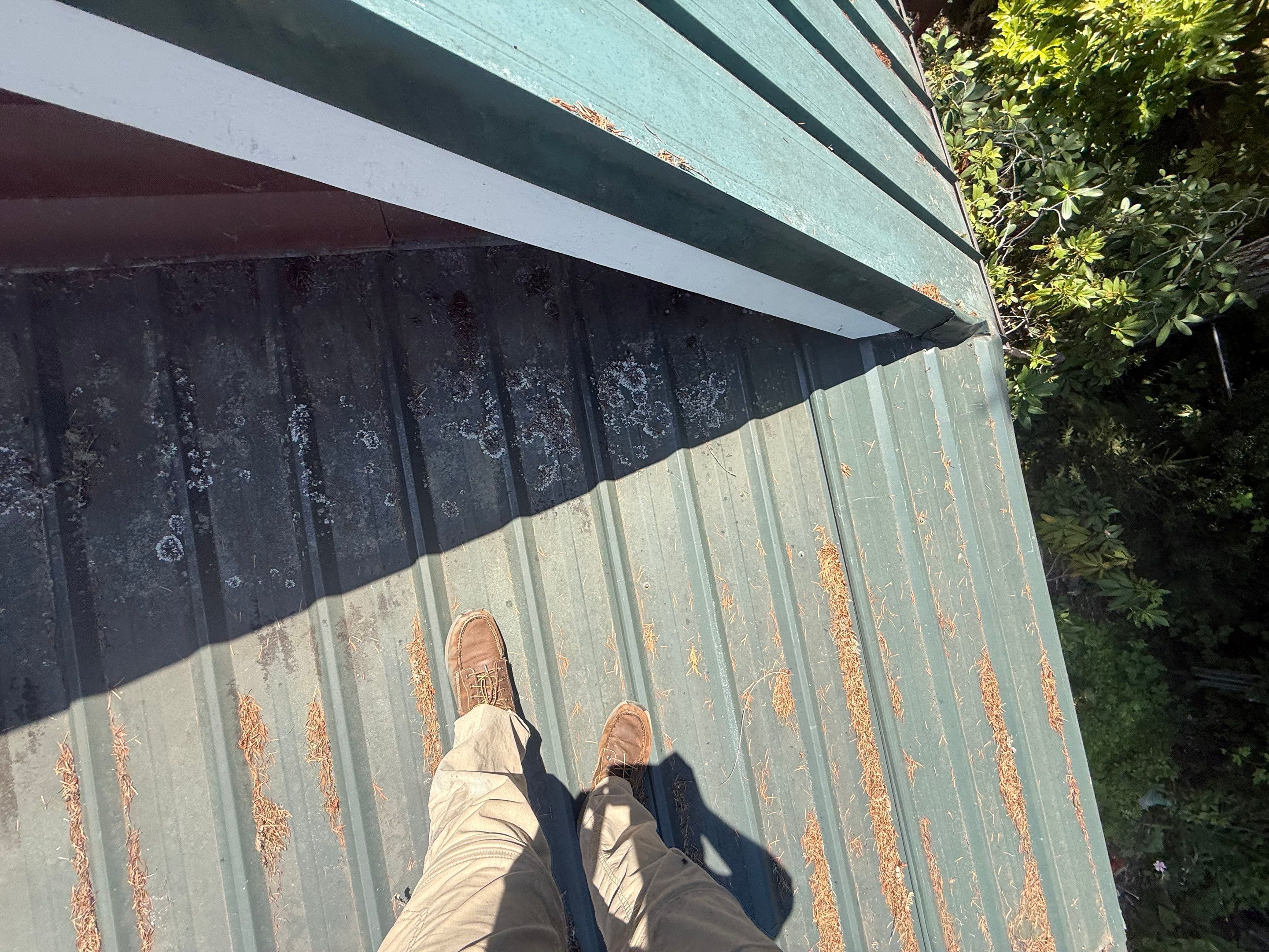 Log Cabin Metal Roof Repair and Skylight Maintenance in Springfield by BEST Roofing & Waterproofing