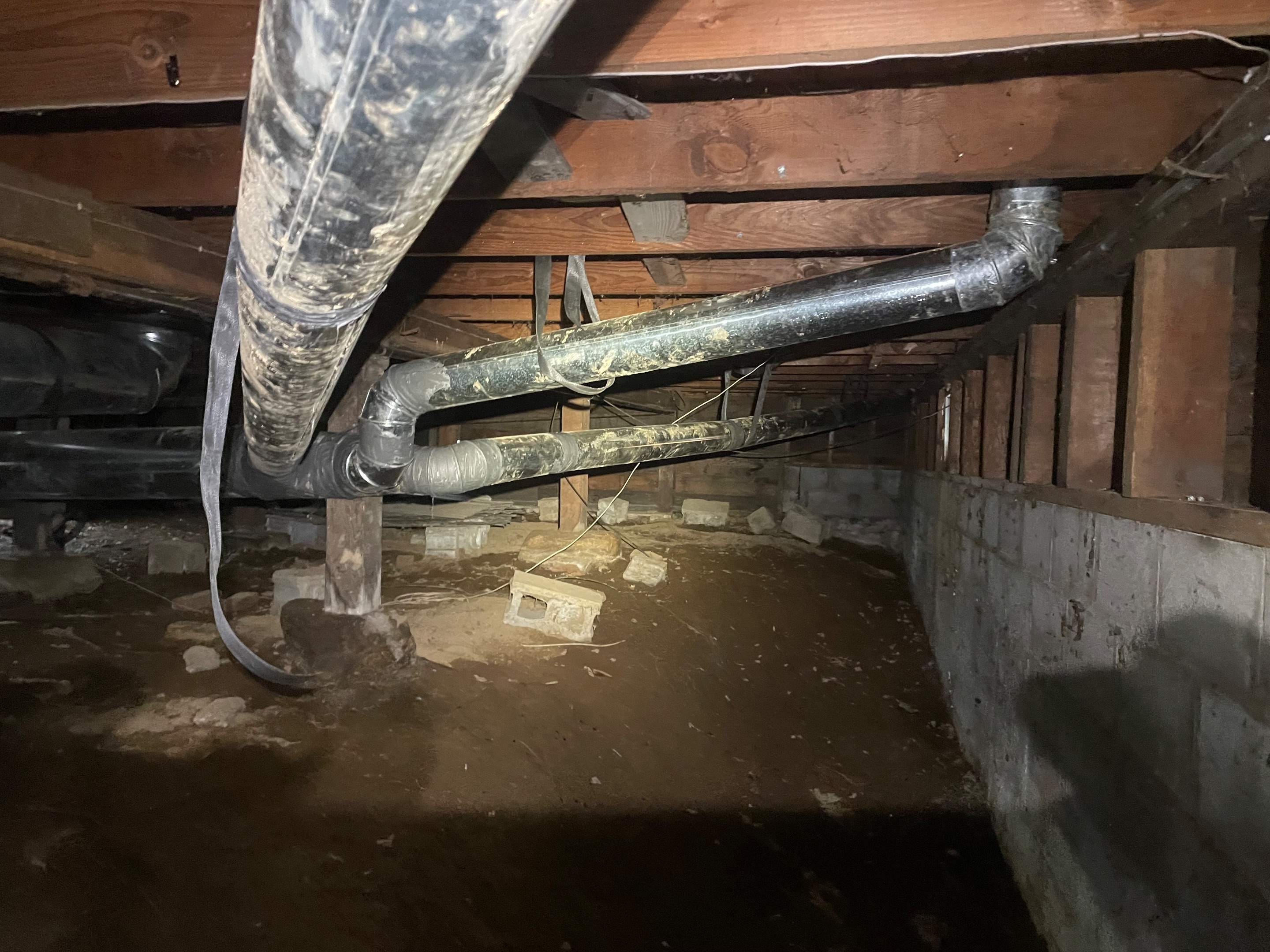 Crawlspace Transformation by Hausmeister Home Services INC