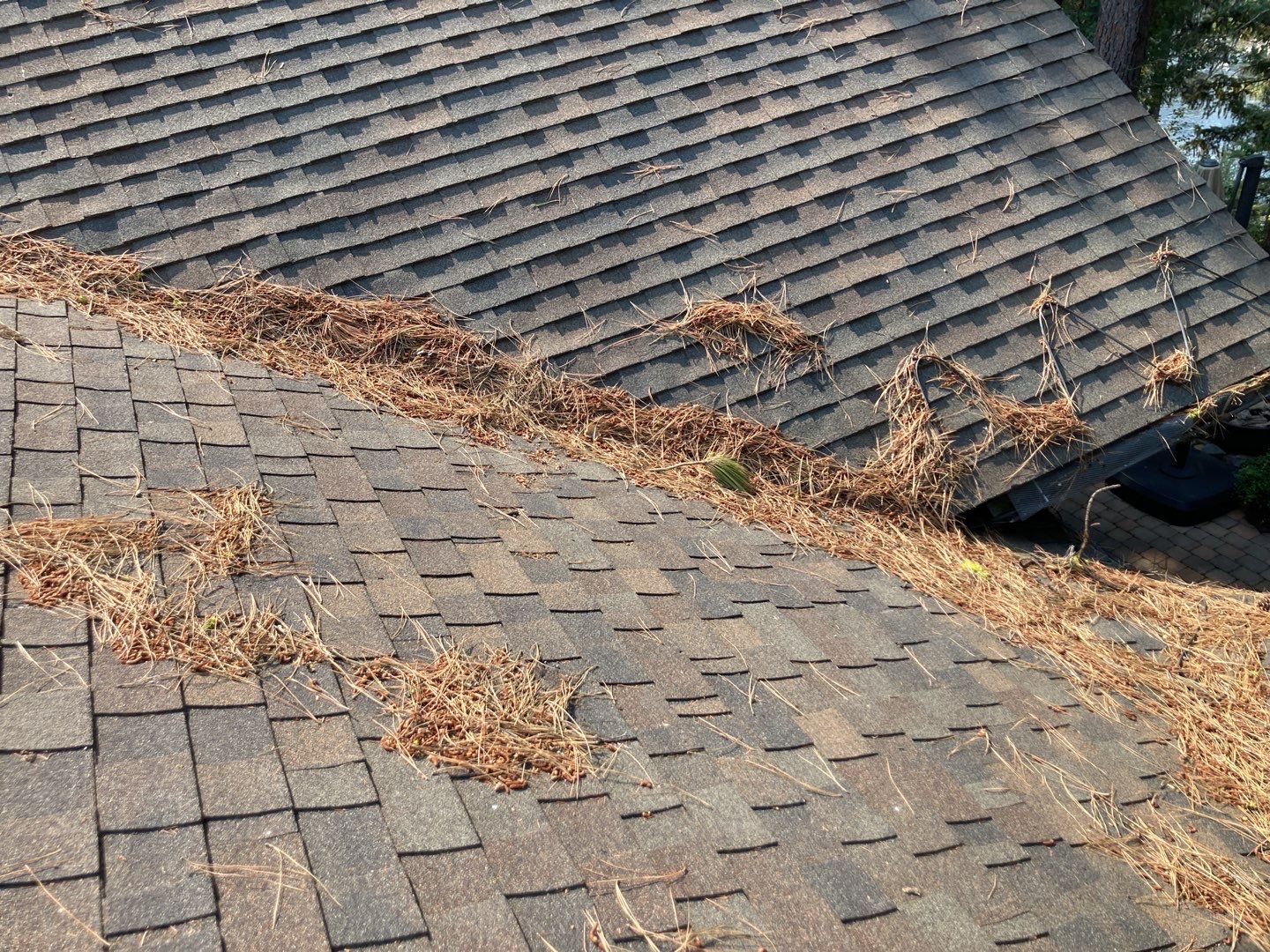 Two story new build gets a CertainTeed Landmark roof in Shenandoah  by ID Roofing LLC