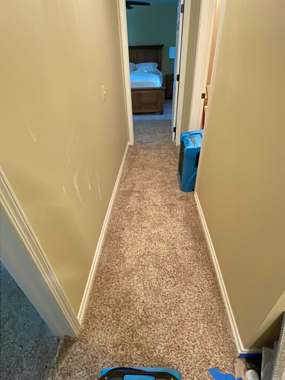 Project in Novi by EzDry Water Mitigation & Property Restoration