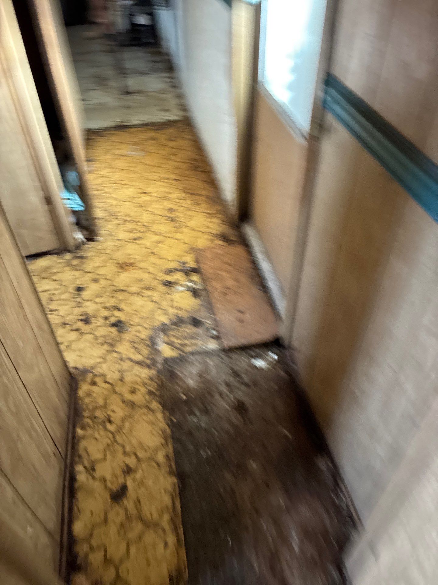 Project in Auburn by 911 Hazmat Cleanup 