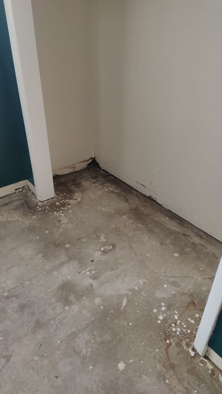 Mold Remediation by Accountable Home Services