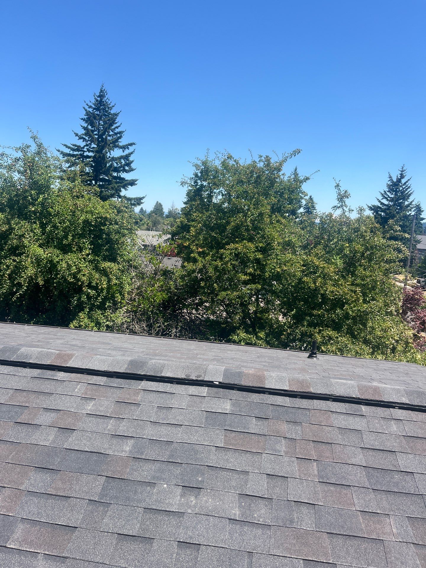 Project in Portland by Tom Leach Roofing
