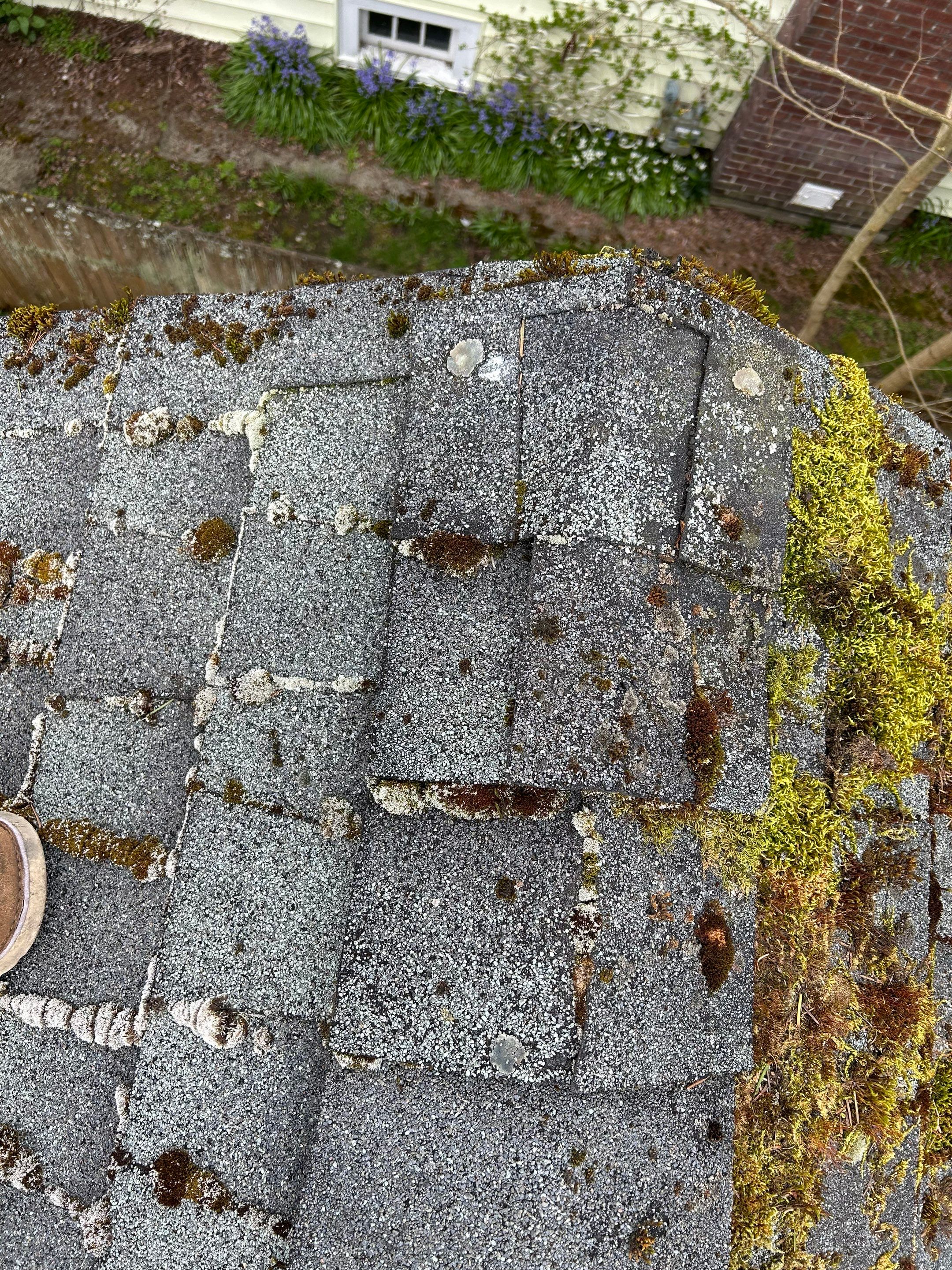 Project in Seattle  by Connolly Construction Company