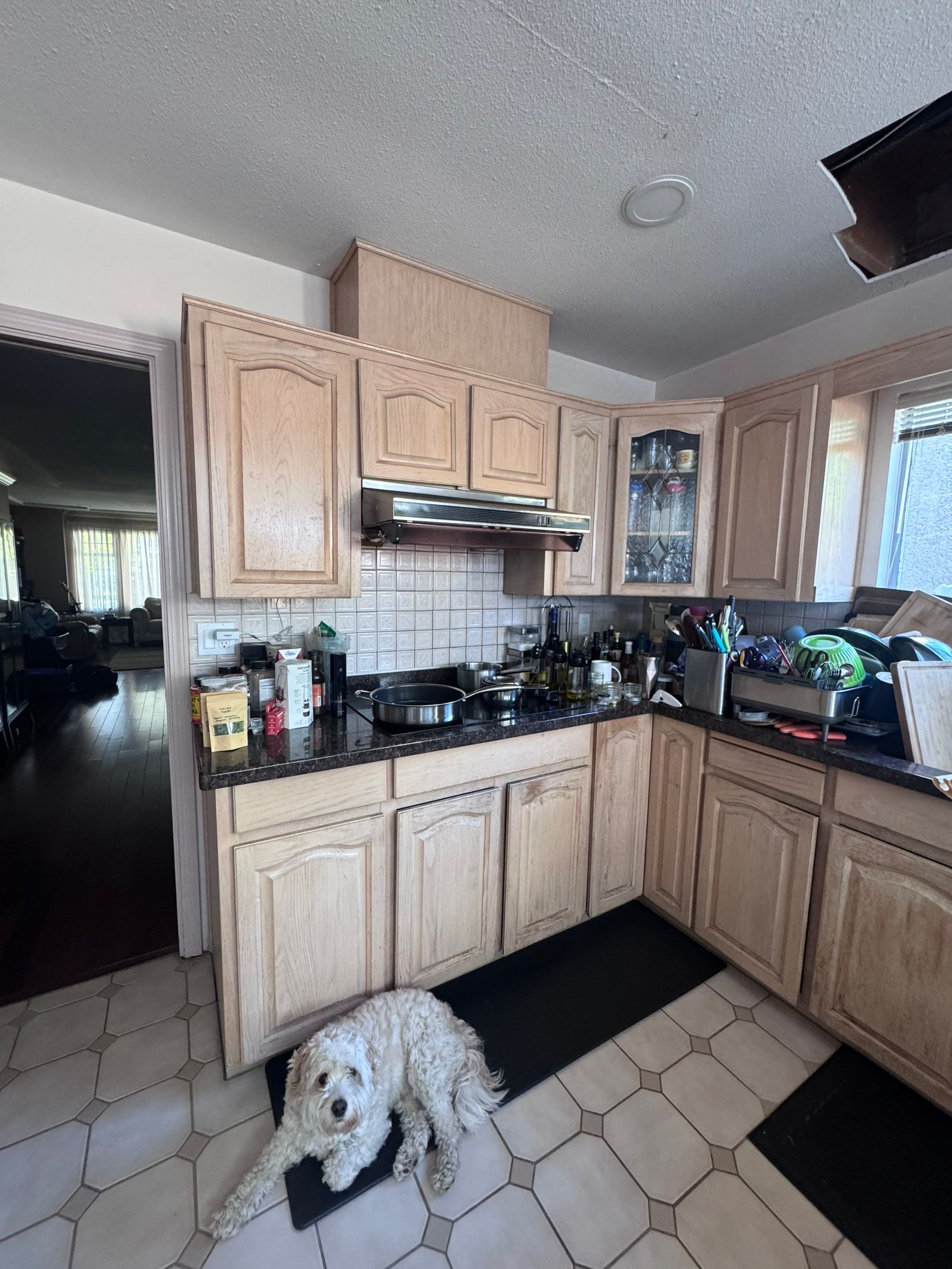 Vancouver Renovation - Dunbar-Southlands by YVR Construction Group