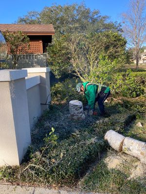 Deerwood Resident | Tree Removal & Trench