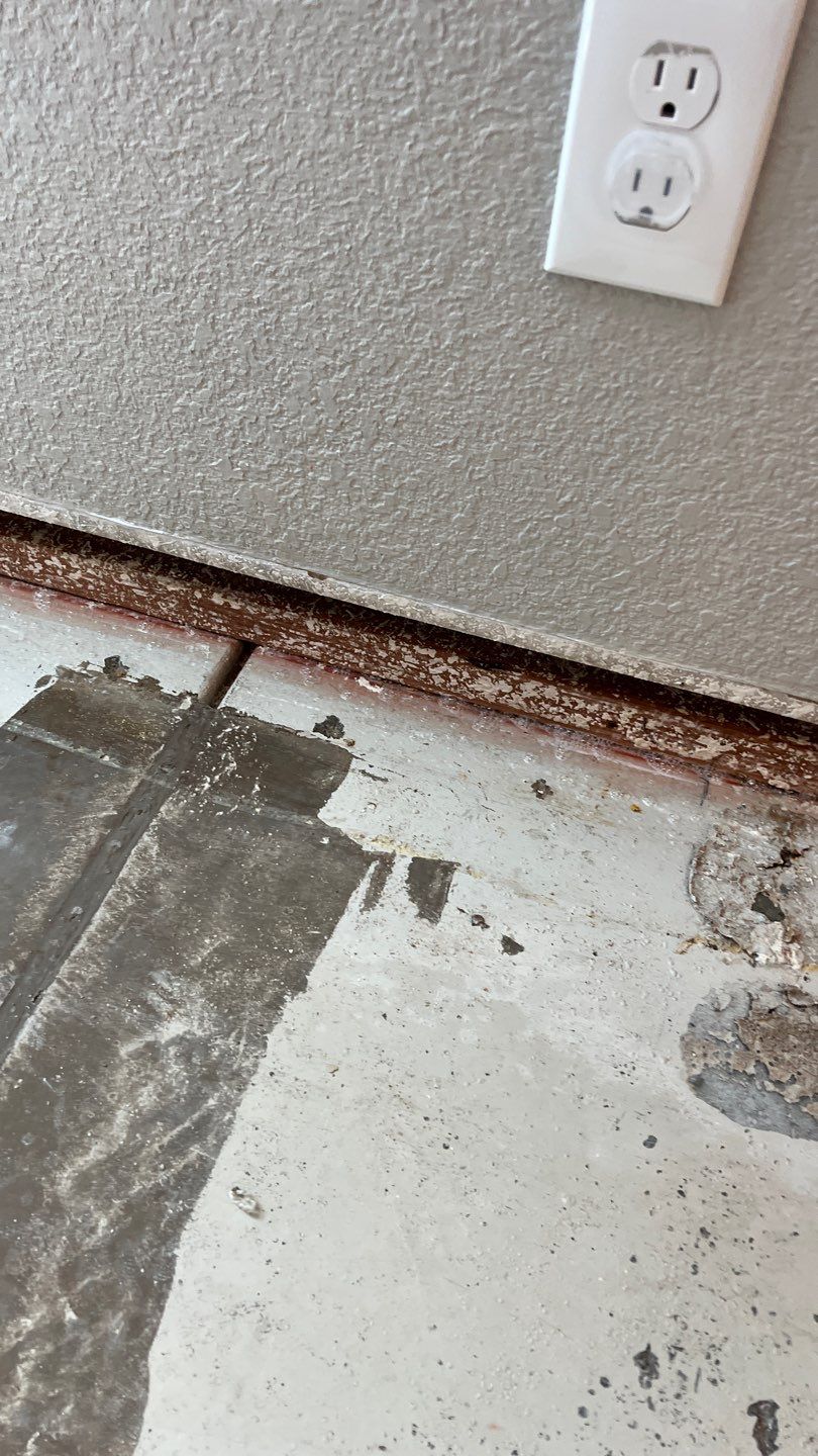 Mold Remediation  by Accountable Home Services