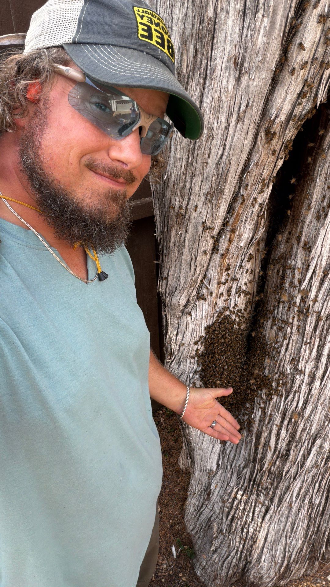Cavern-Crack Tree Bees by Rockwall Honey Bee Company