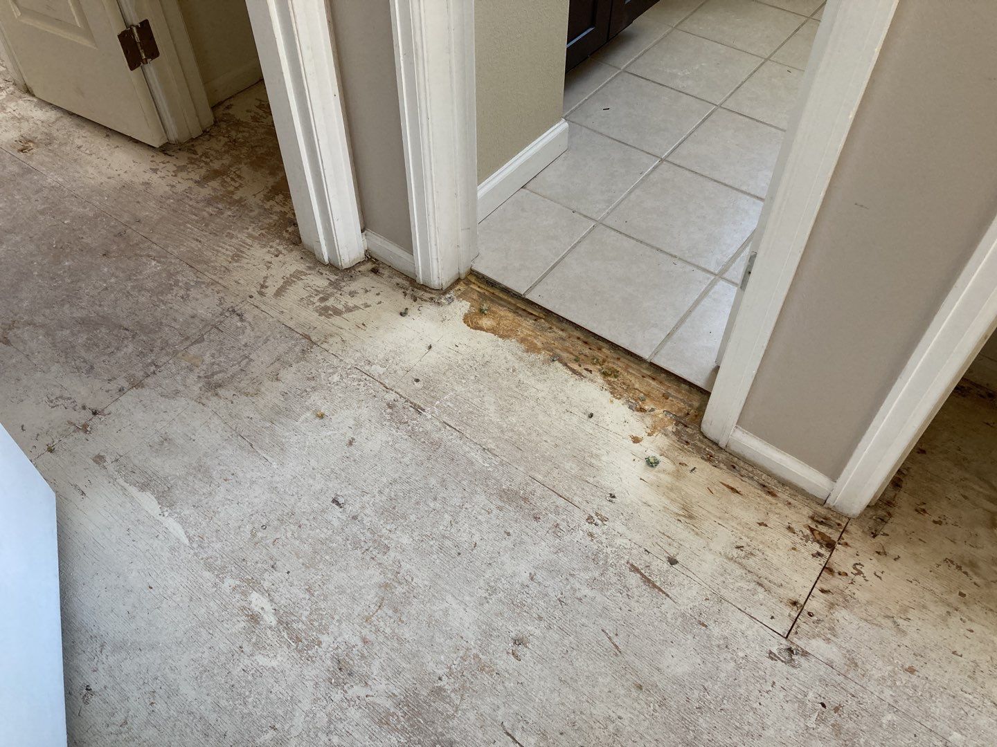 Water Damage  by Accountable Home Services