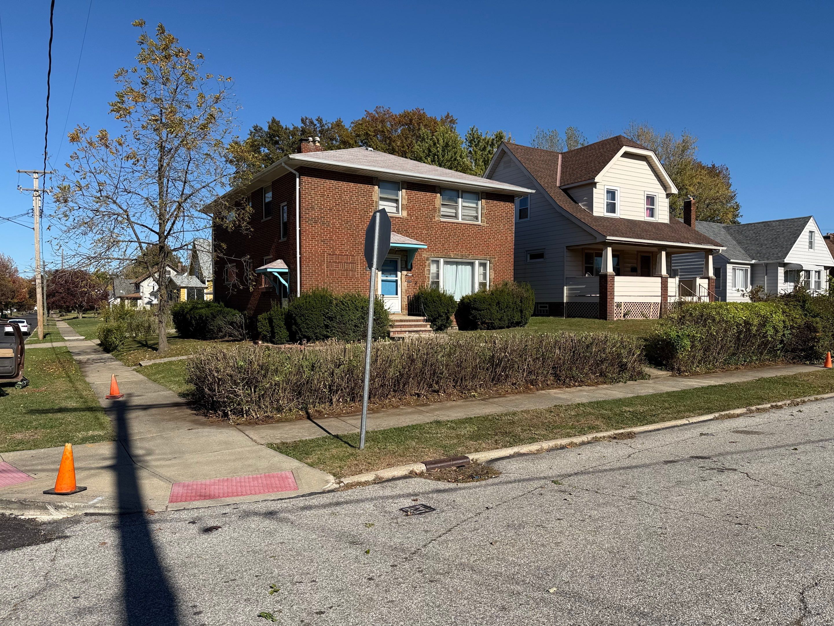 Hedge Shaping Maintenance by Elm Rose Gardens