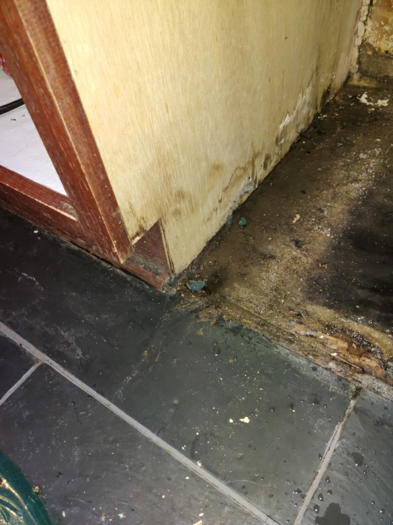 Mold Remediation using Containment by Accountable Home Services